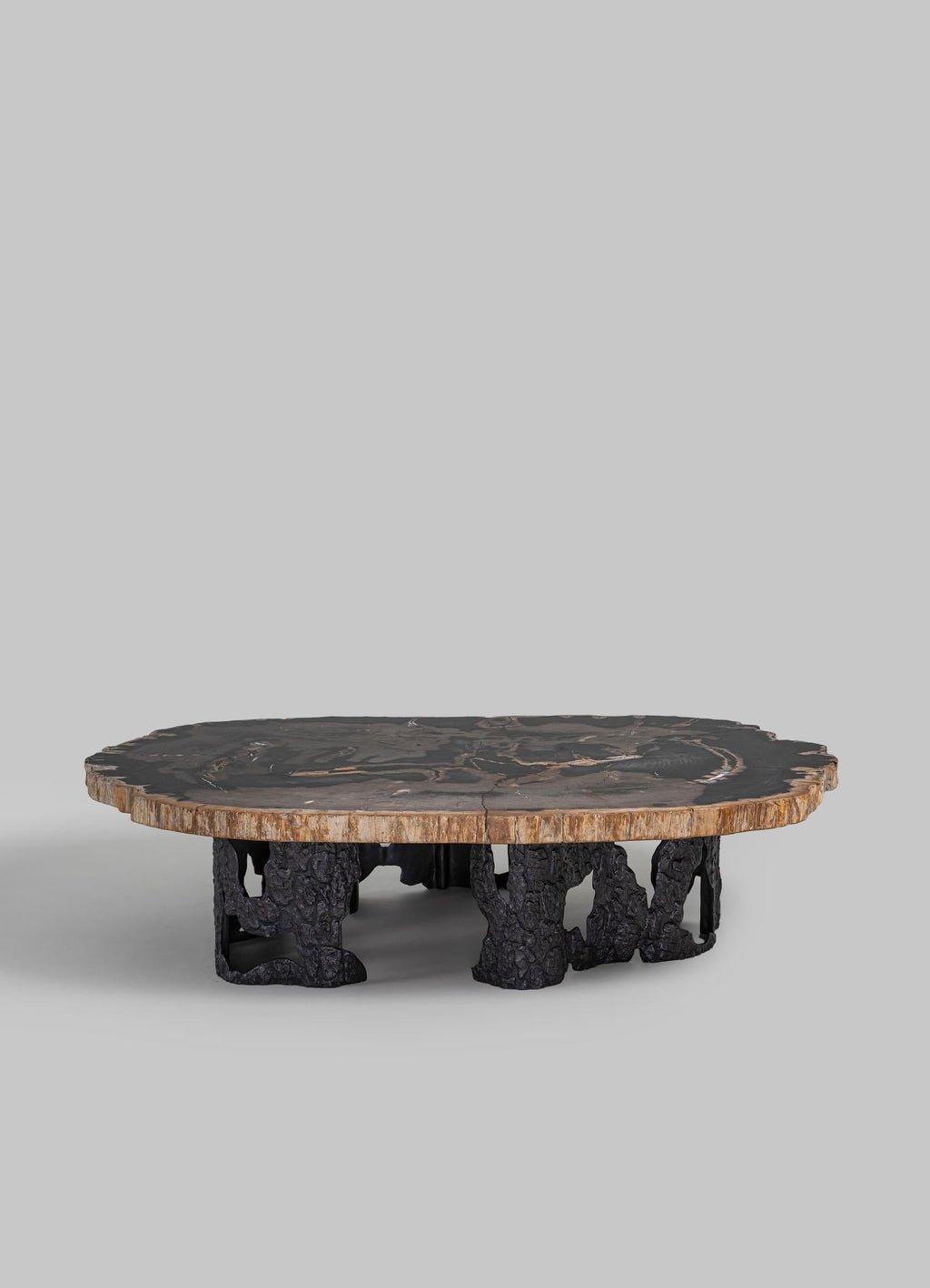 https://a.1stdibscdn.com/fossil-coffee-table-in-petrified-wood-overlay-top-brass-viya-by-vikram-goyal-for-sale-picture-3/f_89622/f_438691821740992532674/01_master.jpg