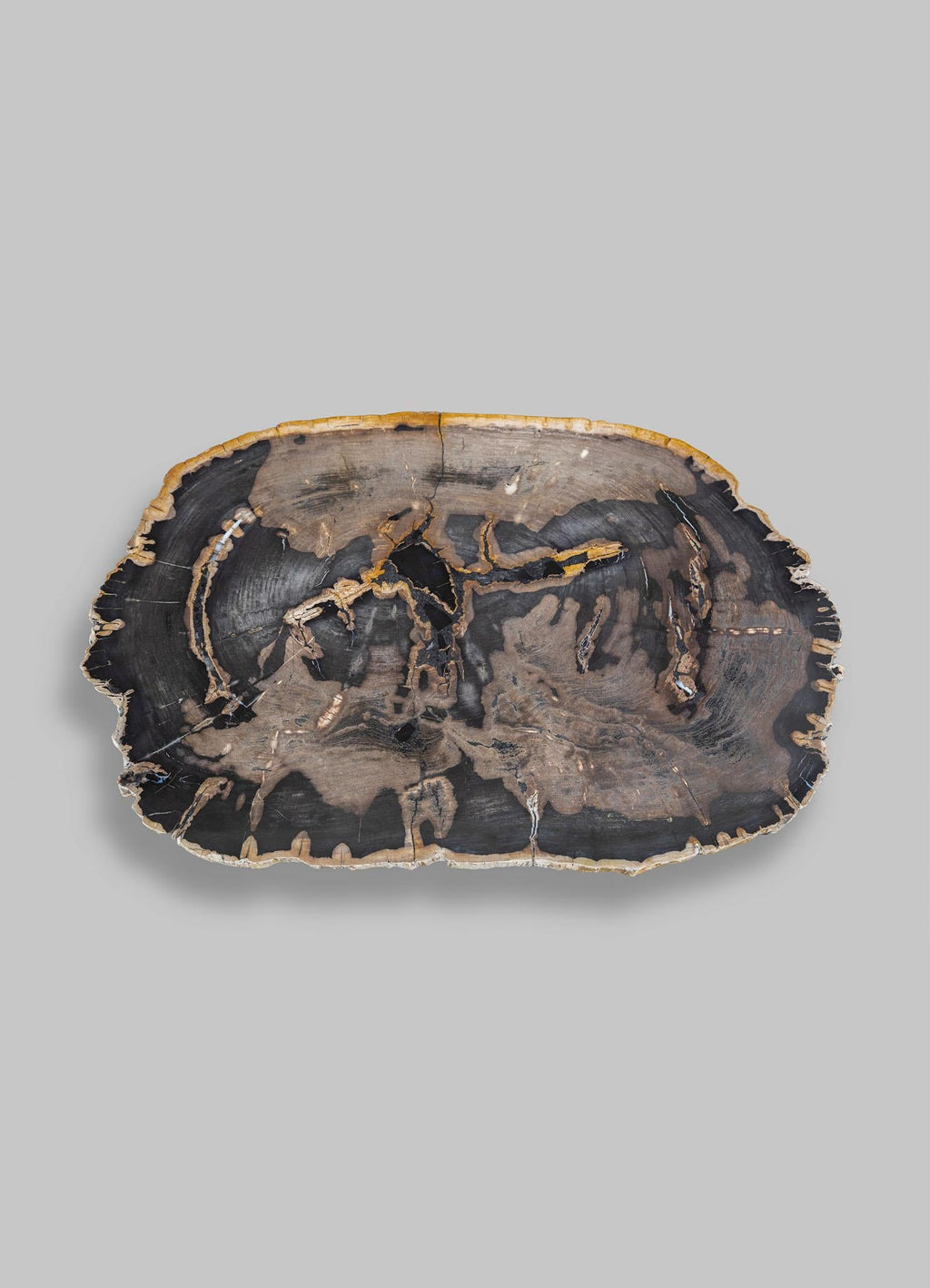 https://a.1stdibscdn.com/fossil-coffee-table-in-petrified-wood-overlay-top-brass-viya-by-vikram-goyal-for-sale-picture-4/f_89622/f_438691821740992533078/03_master.jpg