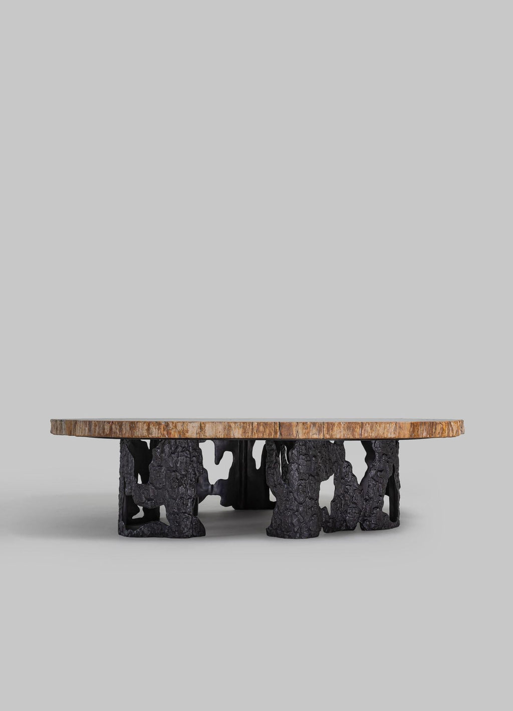 https://a.1stdibscdn.com/fossil-coffee-table-in-petrified-wood-overlay-top-brass-viya-by-vikram-goyal-for-sale-picture-2/f_89622/f_438691821740992532233/0_master.jpg