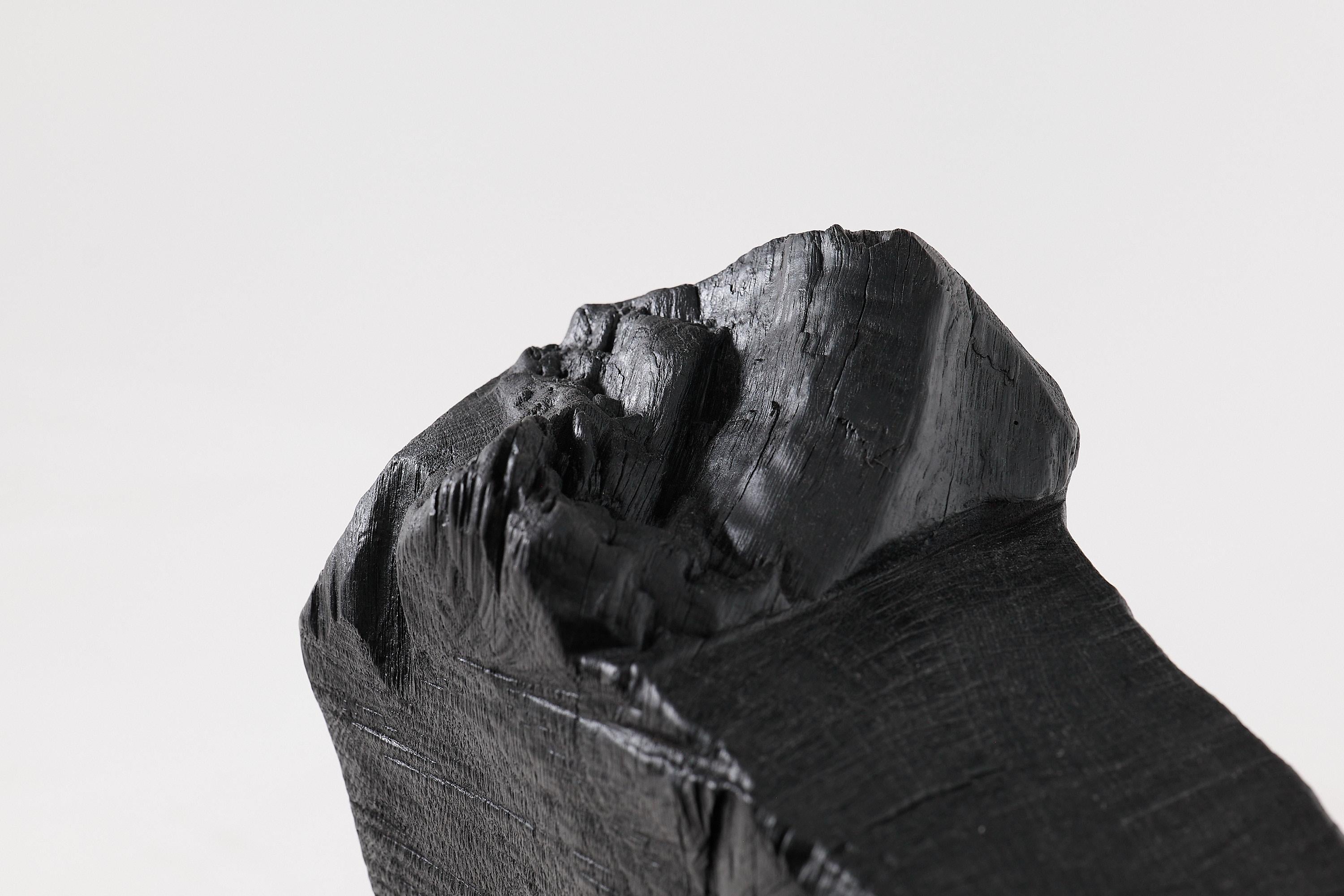https://a.1stdibscdn.com/logniture-brutalist-sculptural-armhair-solid-burnt-oak-wood-organic-1-1-for-sale-picture-17/f_80402/f_436331821739554901554/_1002661_master.jpg