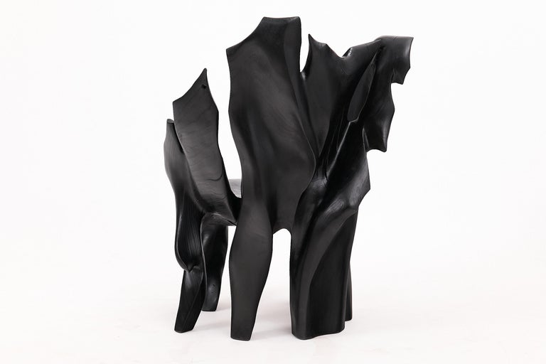 https://a.1stdibscdn.com/sculptural-black-charred-wood-armchair-in-organic-form-by-logniture-for-sale-picture-12/f_80402/f_452624321748697080179/_1003878_master.jpg?width=768