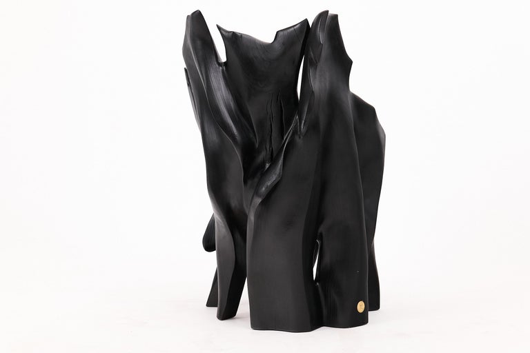 https://a.1stdibscdn.com/sculptural-black-charred-wood-armchair-in-organic-form-by-logniture-for-sale-picture-14/f_80402/f_452624321748697080798/_1003883_master.jpg?width=768
