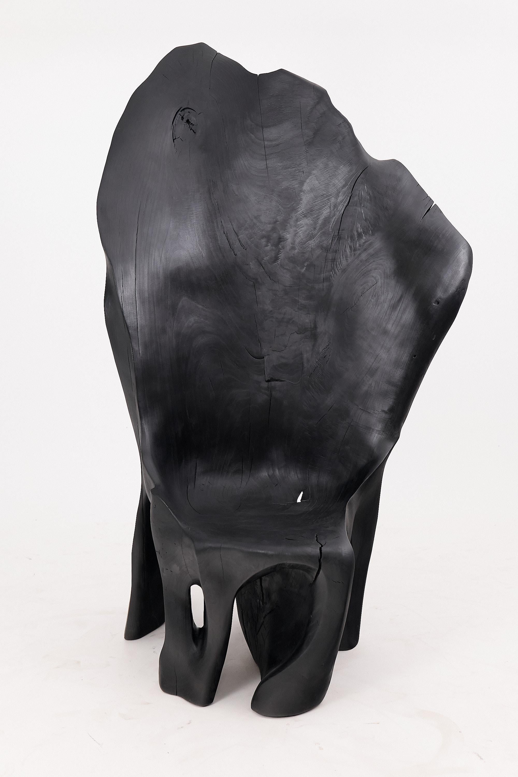 https://a.1stdibscdn.com/xxl-charred-black-wood-throne-chair-in-organic-form-by-logniture-for-sale-picture-3/f_80402/f_452625221748697479926/_1003996_master.jpg