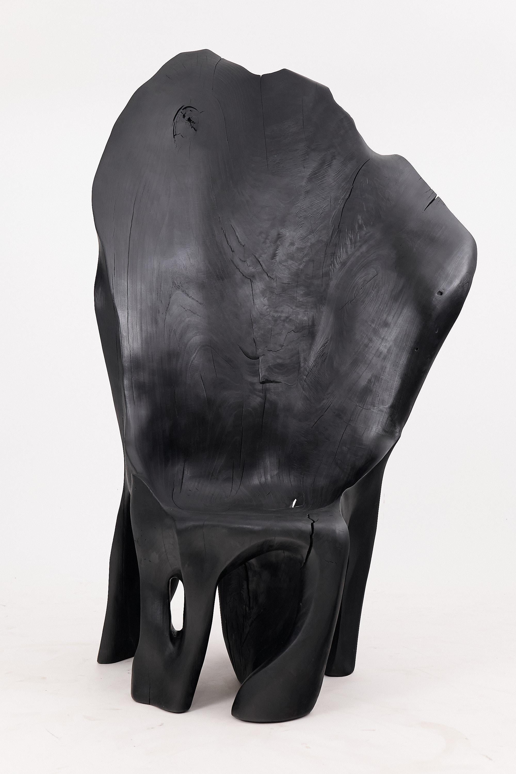 https://a.1stdibscdn.com/xxl-charred-black-wood-throne-chair-in-organic-form-by-logniture-for-sale-picture-4/f_80402/f_452625221748697479952/_1003998_master.jpg