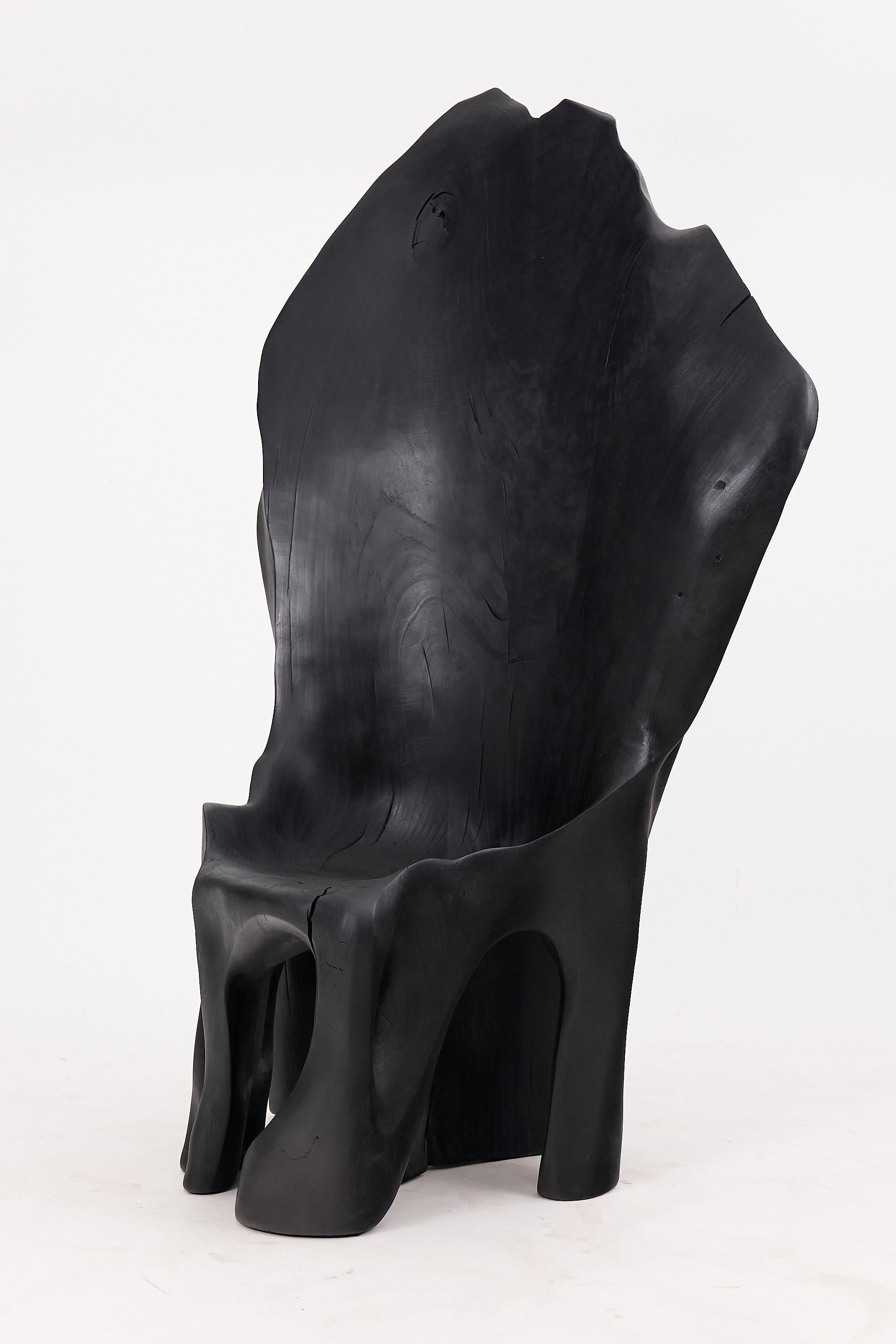 https://a.1stdibscdn.com/xxl-charred-black-wood-throne-chair-in-organic-form-by-logniture-for-sale-picture-5/f_80402/f_452625221748697479833/_1004001_master.jpg
