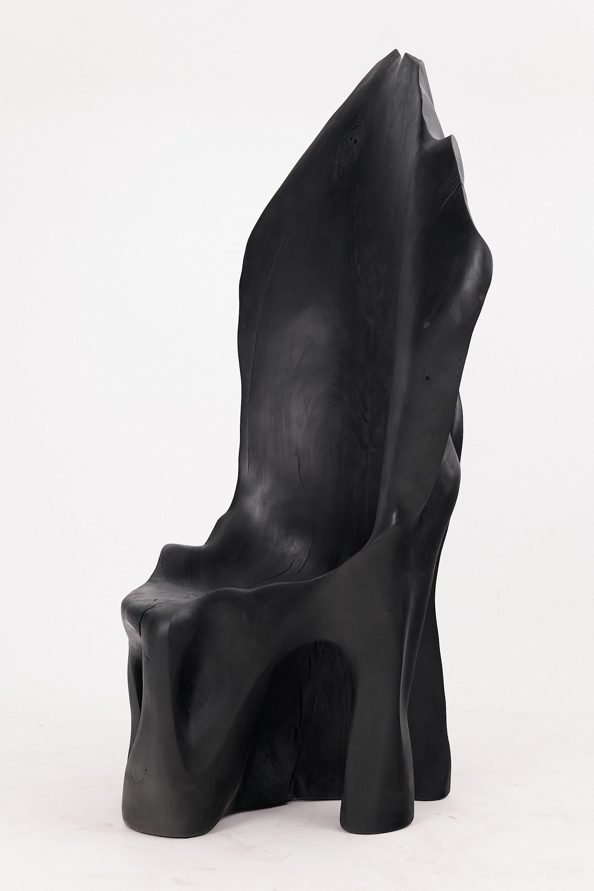 https://a.1stdibscdn.com/xxl-charred-black-wood-throne-chair-in-organic-form-by-logniture-for-sale-picture-6/f_80402/f_452625221748697479799/_1004003_master.jpg