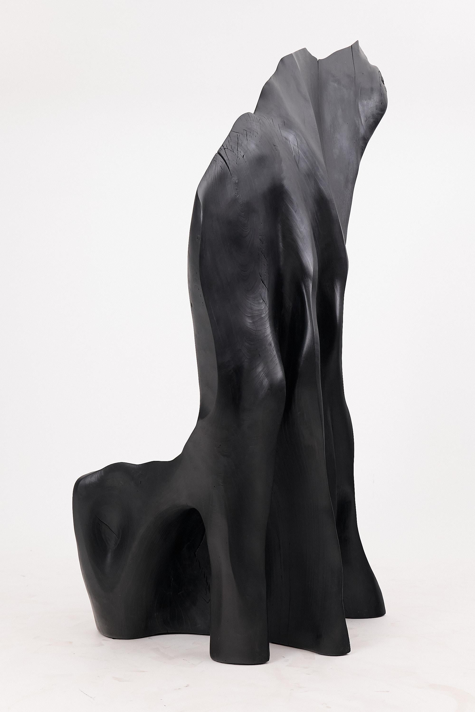 https://a.1stdibscdn.com/xxl-charred-black-wood-throne-chair-in-organic-form-by-logniture-for-sale-picture-7/f_80402/f_452625221748697479881/_1004005_master.jpg