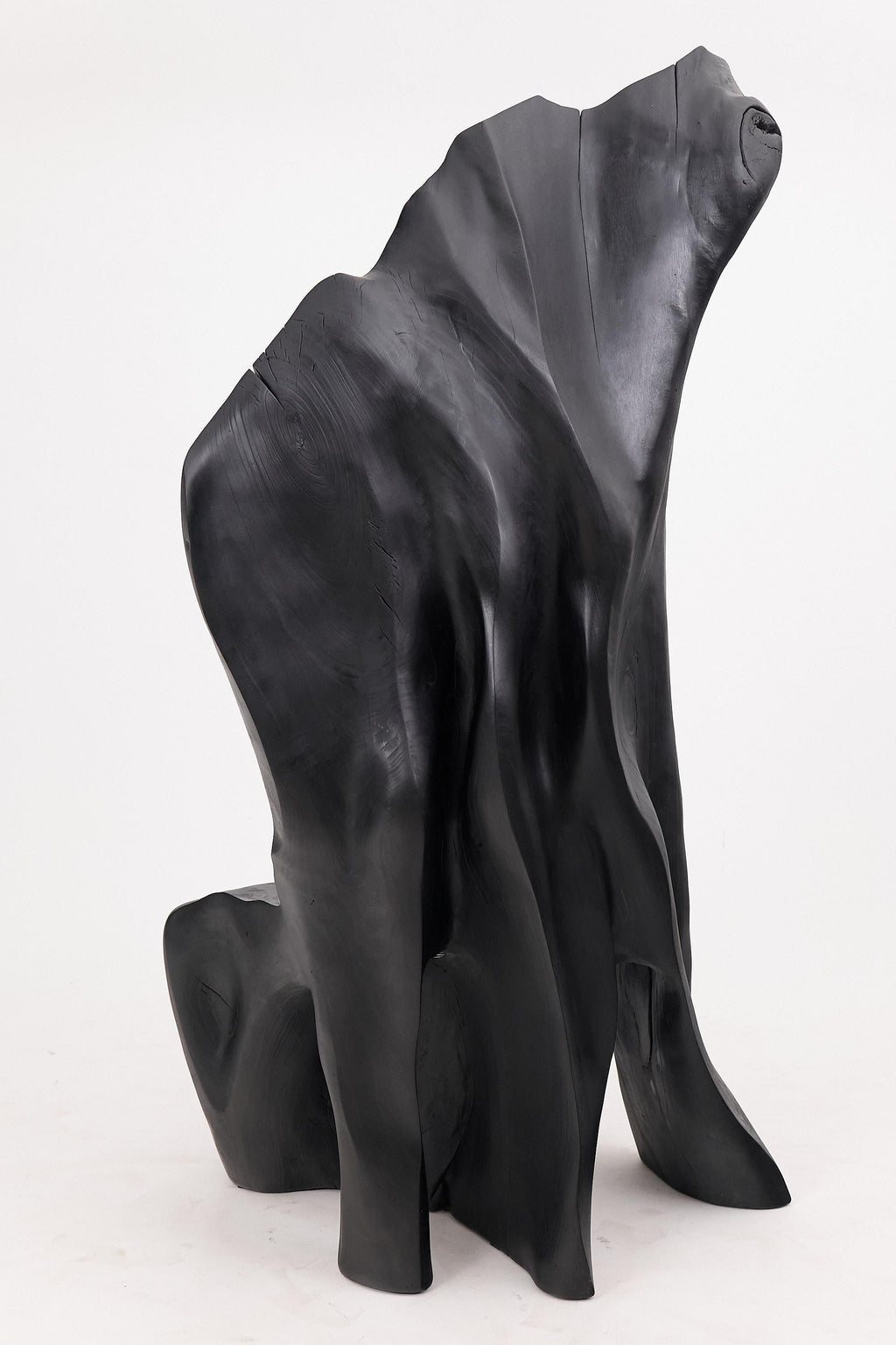 https://a.1stdibscdn.com/xxl-charred-black-wood-throne-chair-in-organic-form-by-logniture-for-sale-picture-8/f_80402/f_452625221748697481558/_1004006_master.jpg