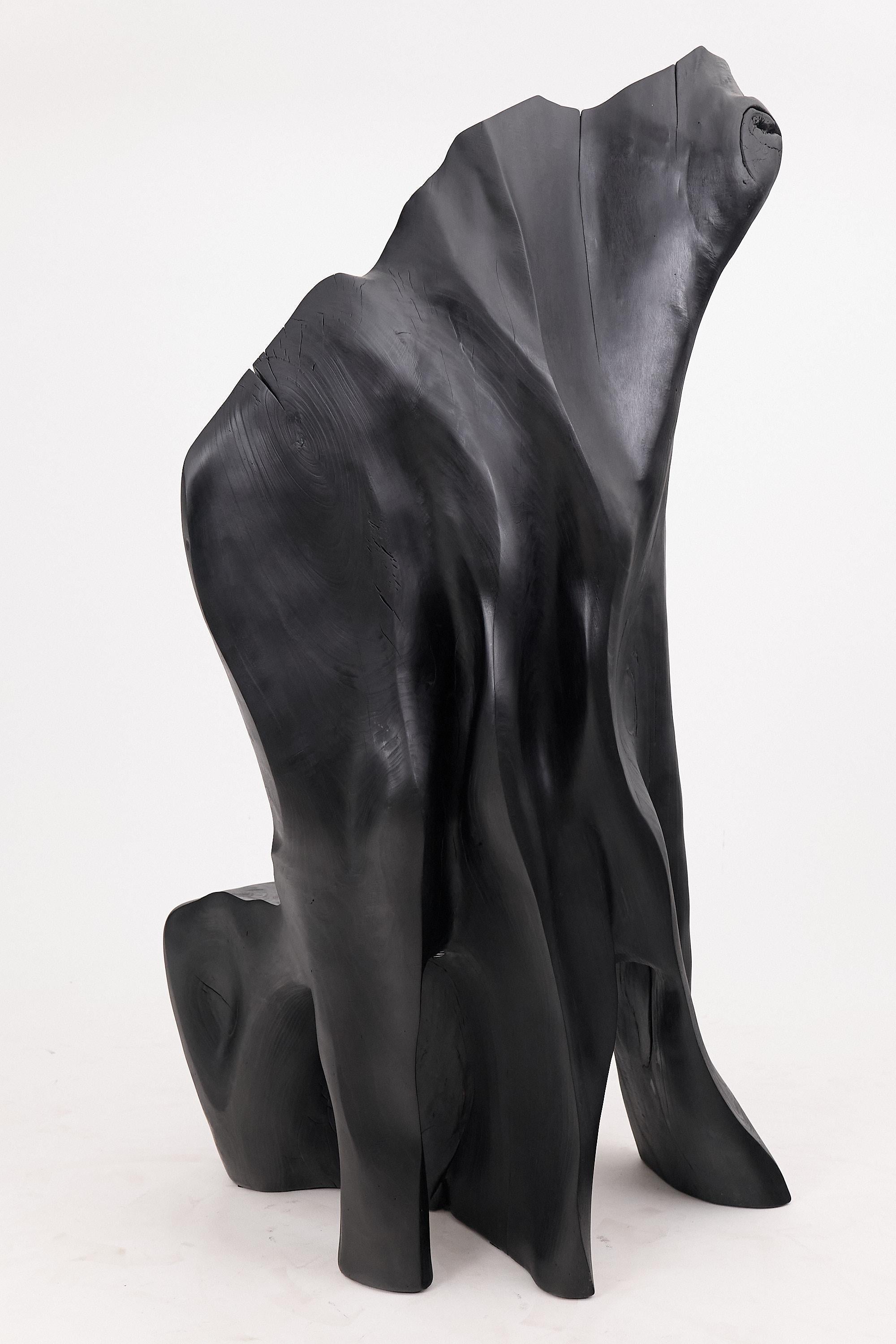 https://a.1stdibscdn.com/xxl-charred-black-wood-throne-chair-in-organic-form-by-logniture-for-sale-picture-8/f_80402/f_452625221748697481558/_1004006_master.jpg