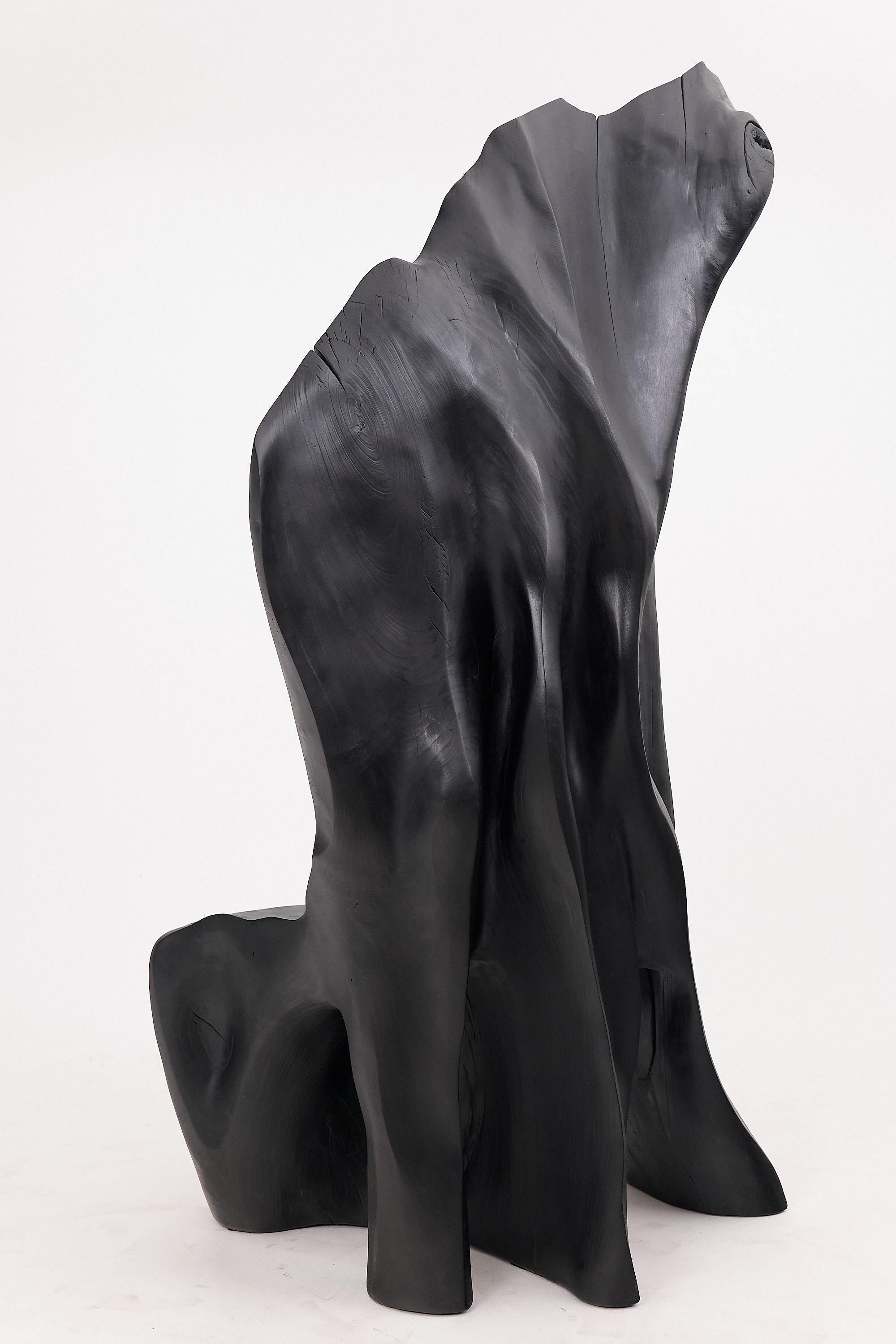 https://a.1stdibscdn.com/xxl-charred-black-wood-throne-chair-in-organic-form-by-logniture-for-sale-picture-9/f_80402/f_452625221748697481563/_1004007_master.jpg