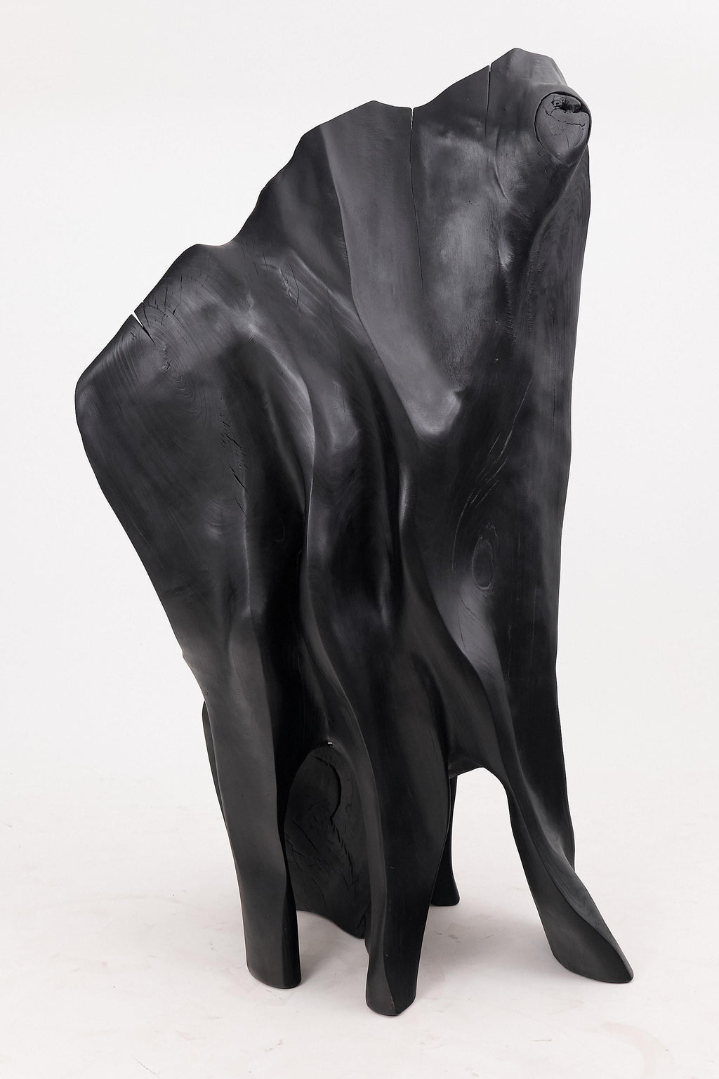 https://a.1stdibscdn.com/xxl-charred-black-wood-throne-chair-in-organic-form-by-logniture-for-sale-picture-10/f_80402/f_452625221748697481605/_1004009_master.jpg