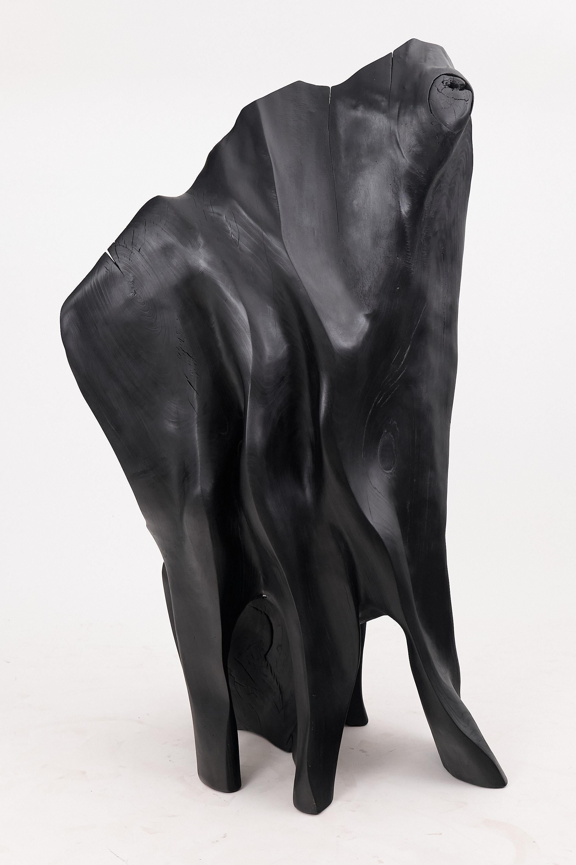 https://a.1stdibscdn.com/xxl-charred-black-wood-throne-chair-in-organic-form-by-logniture-for-sale-picture-10/f_80402/f_452625221748697481605/_1004009_master.jpg