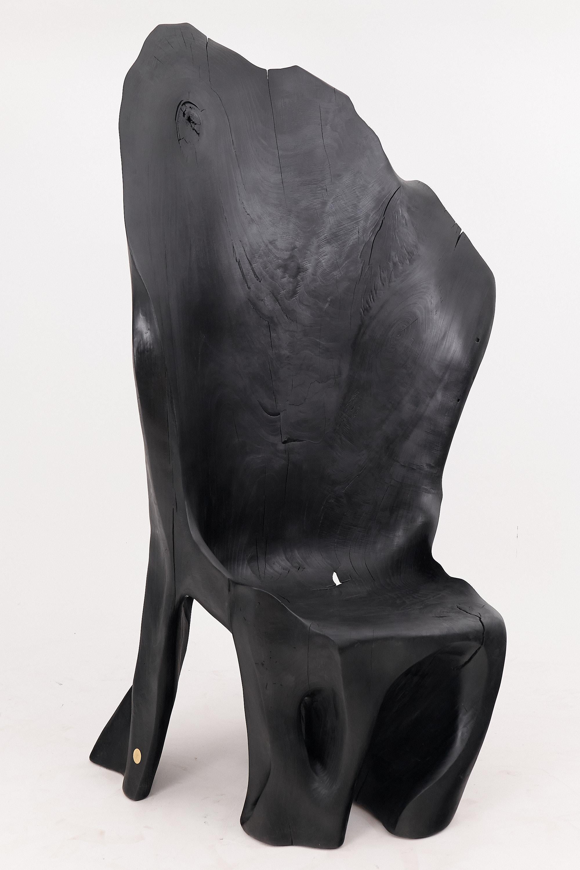 https://a.1stdibscdn.com/xxl-charred-black-wood-throne-chair-in-organic-form-by-logniture-for-sale-picture-2/f_80402/f_452625221748697479819/_1004031_master.jpg