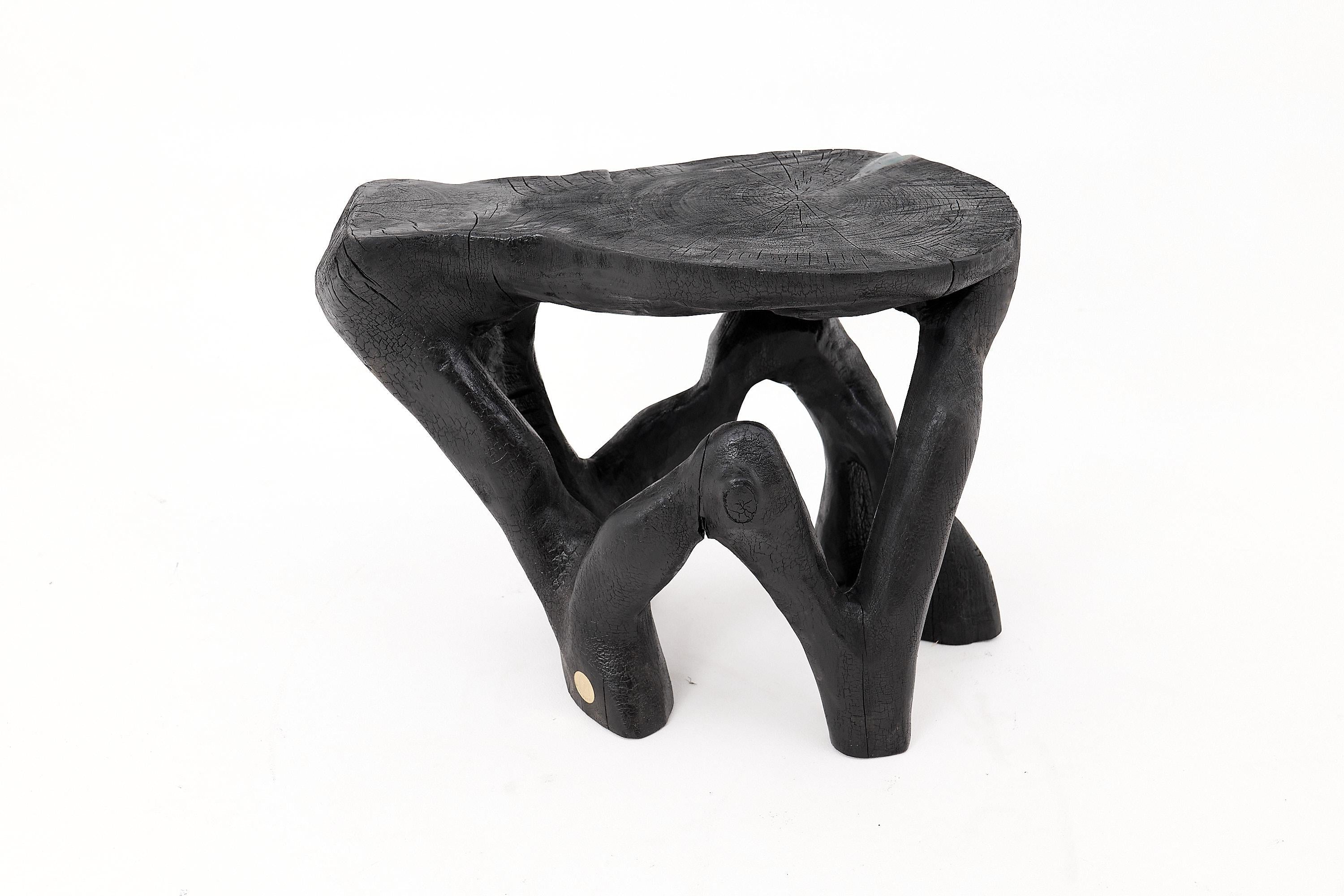 https://a.1stdibscdn.com/rustic-sculptural-coffee-table-burnt-black-wood-carved-unique-logniture-for-sale-picture-2/f_80402/f_459843421753276395015/_1014393_master.jpg