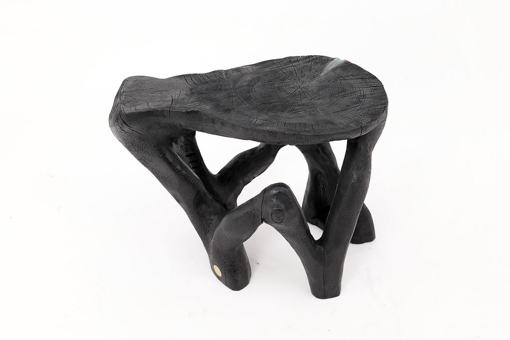 https://a.1stdibscdn.com/rustic-sculptural-coffee-table-burnt-black-wood-carved-unique-logniture-for-sale-picture-3/f_80402/f_459843421753276395958/_1014394_master.jpg