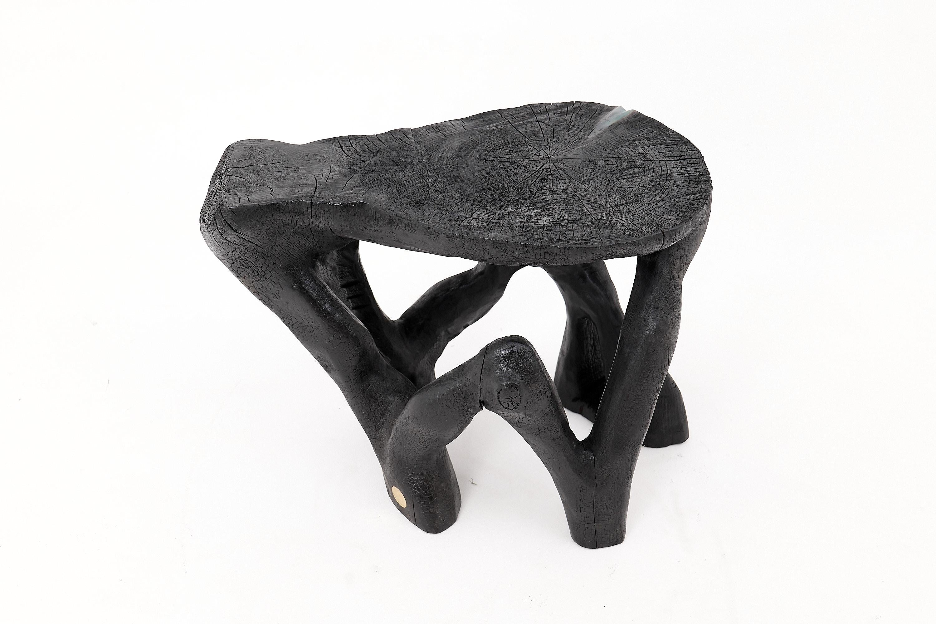 https://a.1stdibscdn.com/rustic-sculptural-coffee-table-burnt-black-wood-carved-unique-logniture-for-sale-picture-3/f_80402/f_459843421753276395958/_1014394_master.jpg