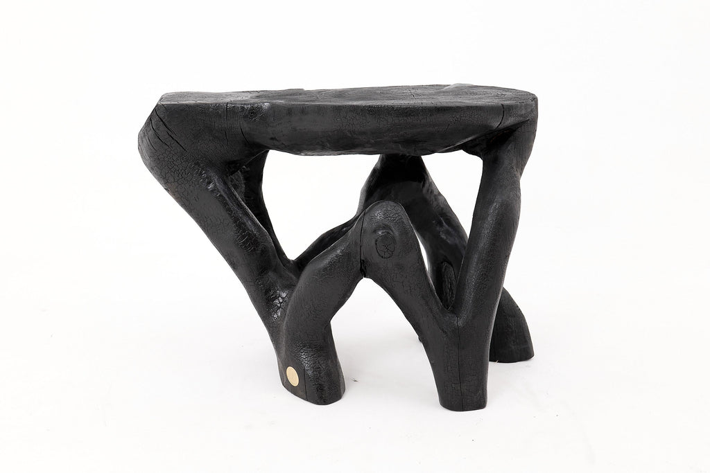 https://a.1stdibscdn.com/rustic-sculptural-coffee-table-burnt-black-wood-carved-unique-logniture-for-sale-picture-4/f_80402/f_459843421753276395104/_1014395_master.jpg