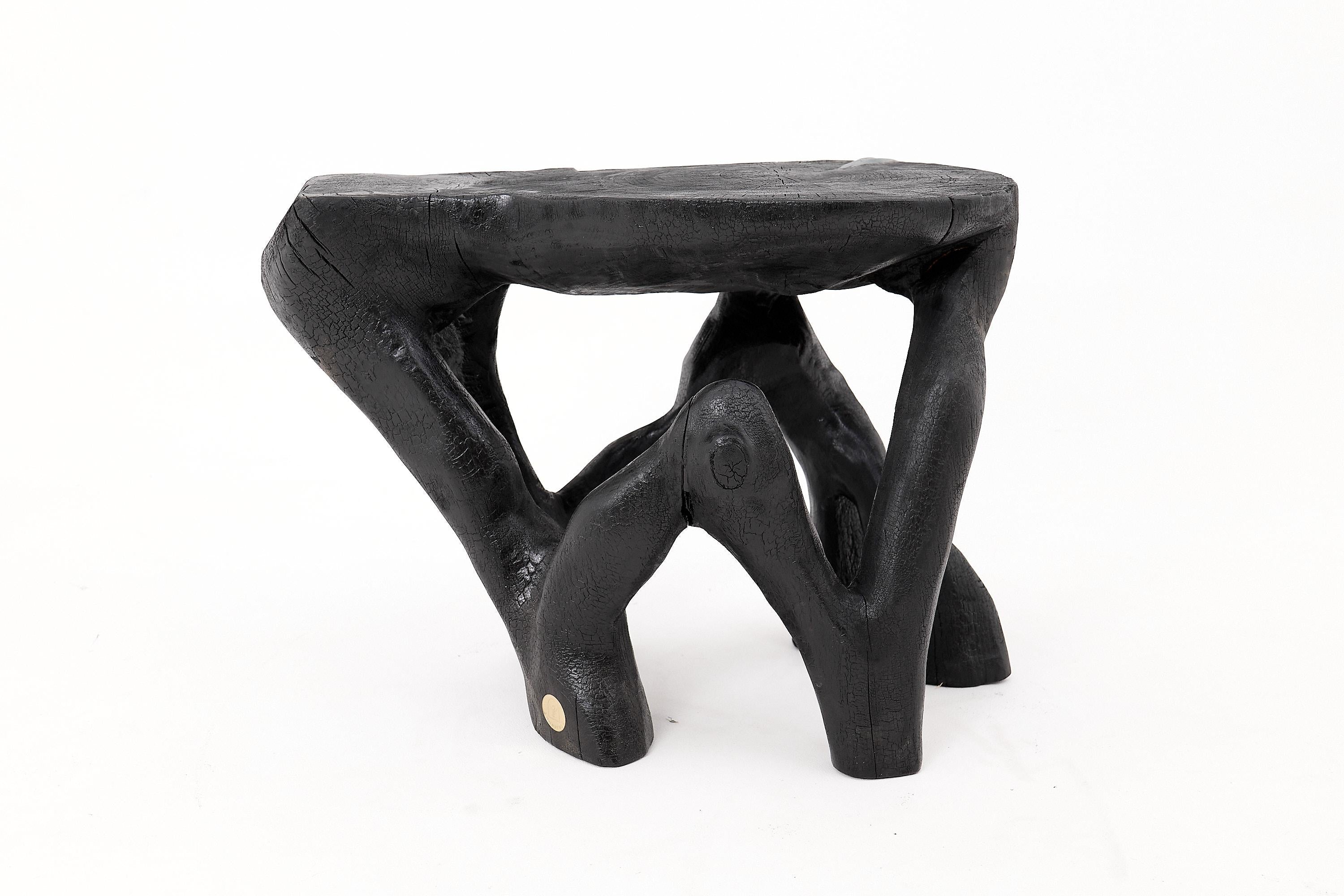 https://a.1stdibscdn.com/rustic-sculptural-coffee-table-burnt-black-wood-carved-unique-logniture-for-sale-picture-4/f_80402/f_459843421753276395104/_1014395_master.jpg