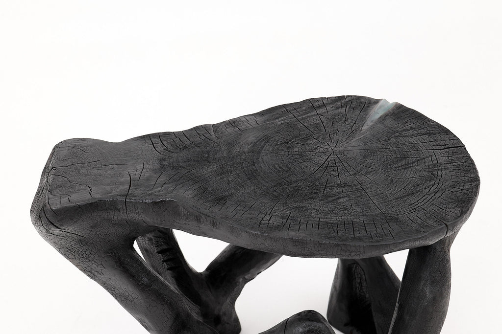 https://a.1stdibscdn.com/rustic-sculptural-coffee-table-burnt-black-wood-carved-unique-logniture-for-sale-picture-5/f_80402/f_459843421753276397335/_1014397_master.jpg