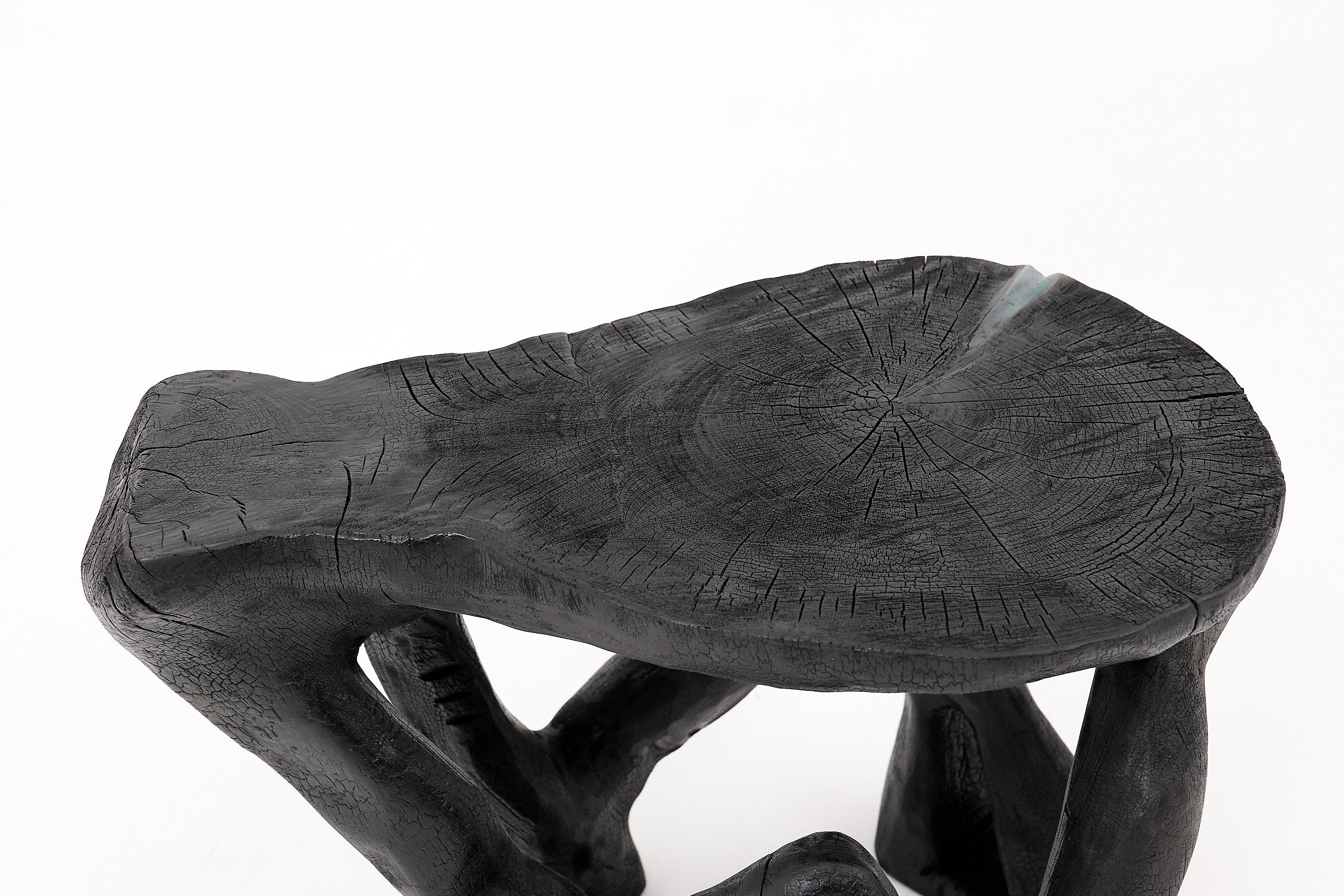https://a.1stdibscdn.com/rustic-sculptural-coffee-table-burnt-black-wood-carved-unique-logniture-for-sale-picture-5/f_80402/f_459843421753276397335/_1014397_master.jpg