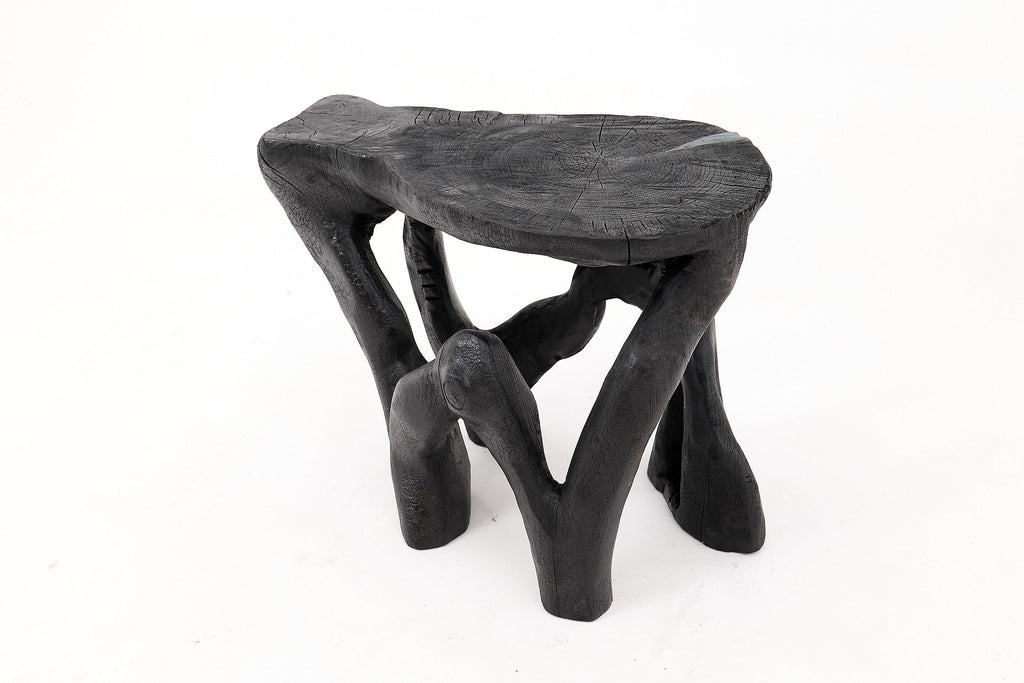 https://a.1stdibscdn.com/rustic-sculptural-coffee-table-burnt-black-wood-carved-unique-logniture-for-sale-picture-7/f_80402/f_459843421753276396319/_1014399_master.jpg