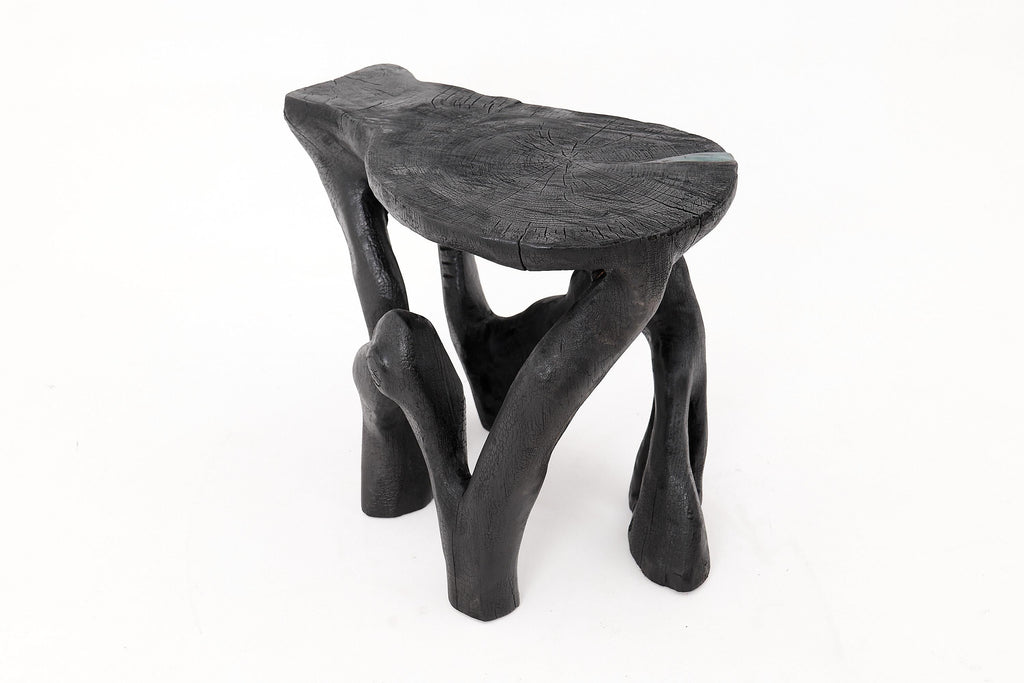 https://a.1stdibscdn.com/rustic-sculptural-coffee-table-burnt-black-wood-carved-unique-logniture-for-sale-picture-8/f_80402/f_459843421753276397516/_1014401_master.jpg
