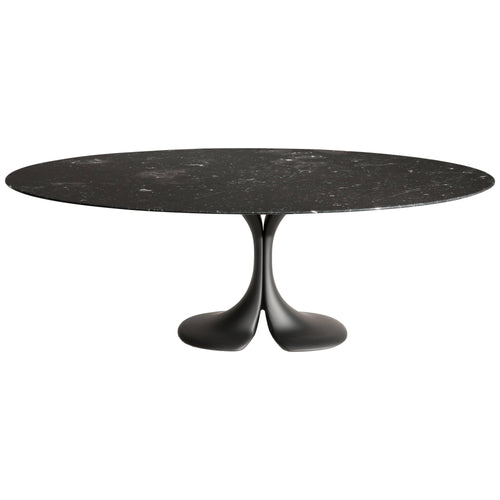 https://a.1stdibscdn.com/didymos-oval-table-with-black-marble-top-by-antonia-astori-for-driade-for-sale/1121189/f_108977411527323854650/10897741_master.jpg