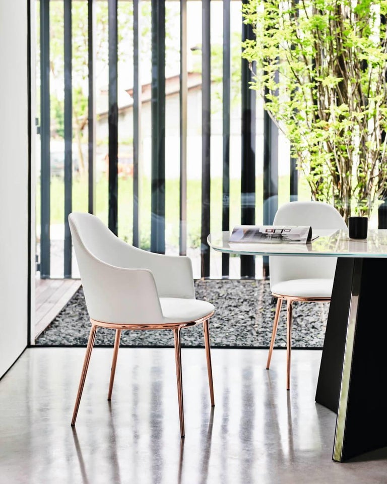 https://a.1stdibscdn.com/set-of-8-dining-chairs-in-metallic-frame-for-sale-picture-5/f_27693/f_302252421663223010070/116373281_3351966234866753_4608716092848604674_n_master.jpg?width=768