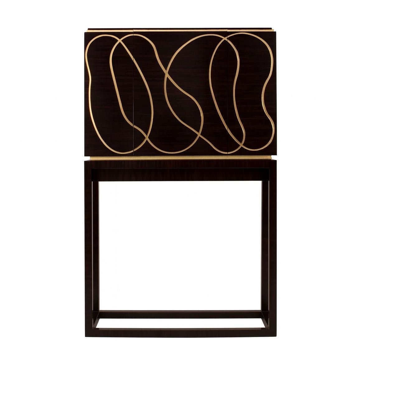 https://a.1stdibscdn.com/collectible-design-ebony-wood-cabinet-with-brass-detailing-customizable-for-sale-picture-2/f_27693/f_463537121756148298348/11_54_32_AM_master.jpg