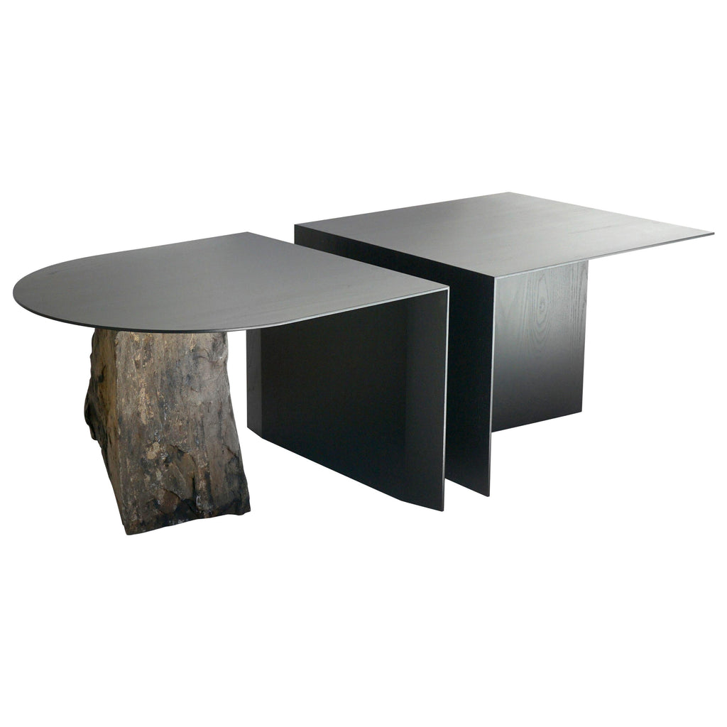 https://a.1stdibscdn.com/missisquoi-01-coffee-table-edition-4-of-13-by-simon-johns-for-sale/1121189/f_135329421549092677366/13532942_master.jpg