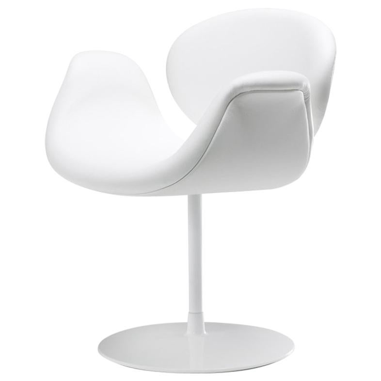 https://a.1stdibscdn.com/customizable-artifort-tulip-midi-armchair-by-pierre-paulin-for-sale/1121189/f_142648711555140343563/14264871_master.jpg
