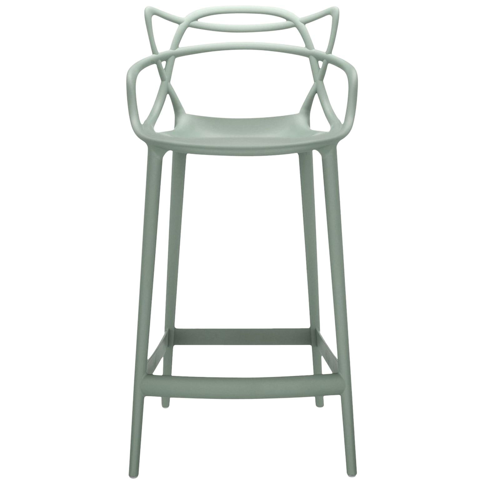 https://a.1stdibscdn.com/kartell-masters-counter-stool-in-sage-green-by-philippe-starck-eugeni-quitllet-for-sale/1121189/f_145780711557562968263/14578071_master.jpg