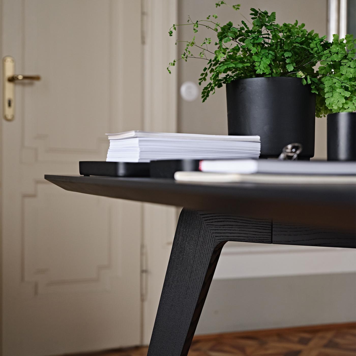 https://a.1stdibscdn.com/santiago-moka-finished-ash-dining-table-by-black-tie-for-sale-picture-4/f_17062/f_444685121744367970713/1729867286222_MATENY_0012_SANTIAGO_2010_master.jpg