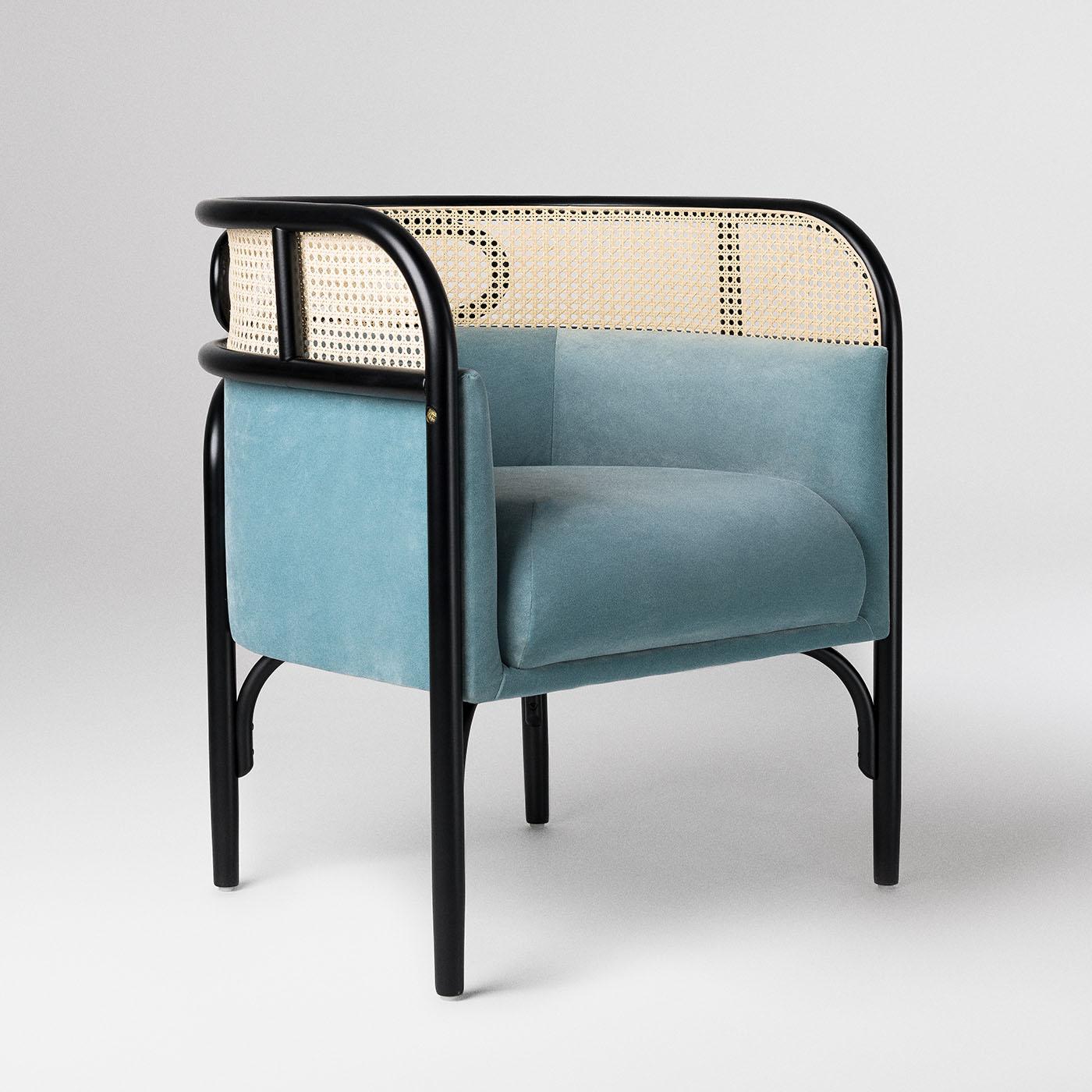 https://a.1stdibscdn.com/targa-petit-light-blue-velvet-armchair-for-sale-picture-4/f_17062/f_470698721760620894026/1748516139521_STTRNY_0012_TargaPetitbyGamFratei_2__master.jpg