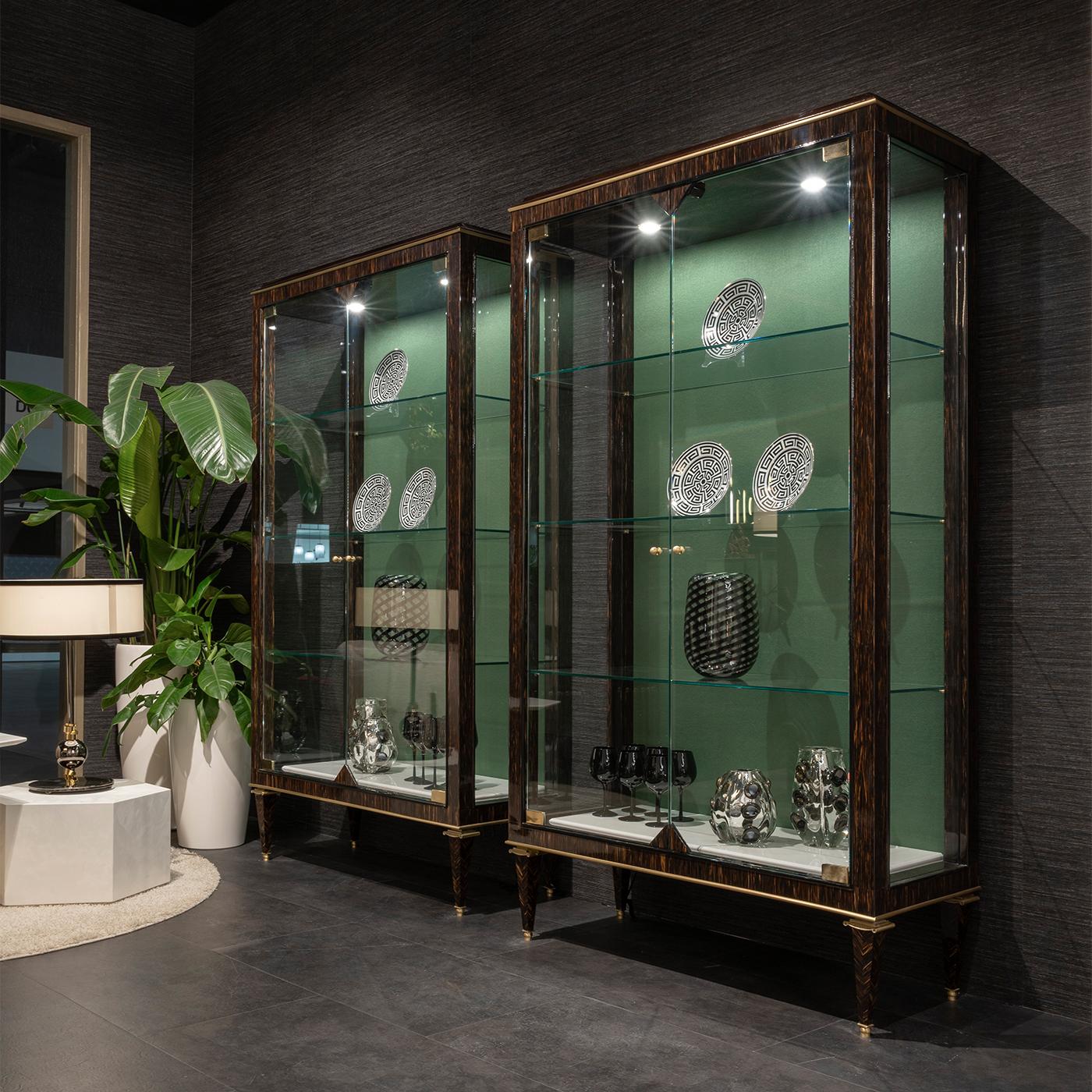 https://a.1stdibscdn.com/palm-wood-with-brass-accents-and-green-internal-back-panel-cabinet-for-sale-picture-4/f_17062/f_484458821769090717503/1766506647072_RATENY_0104_B5410_3_1__master.jpg