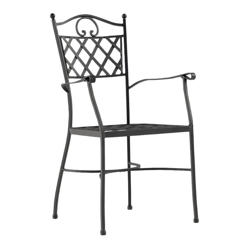 https://a.1stdibscdn.com/armchair-chair-in-wrought-iron-garden-furniture-indoor-outdoor-for-sale/1121189/f_179918421582042259547/17991842_master.jpg