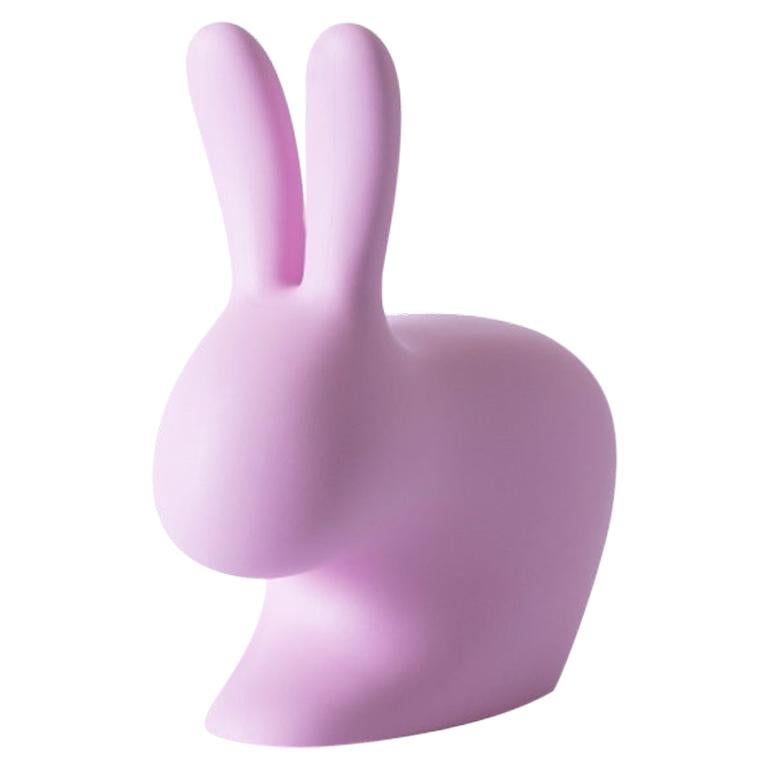 https://a.1stdibscdn.com/pink-baby-rabbit-chair-by-stefano-giovannoni-made-in-italy-for-sale/f_49571/f_301894121661805252657/19816632_master.jpg
