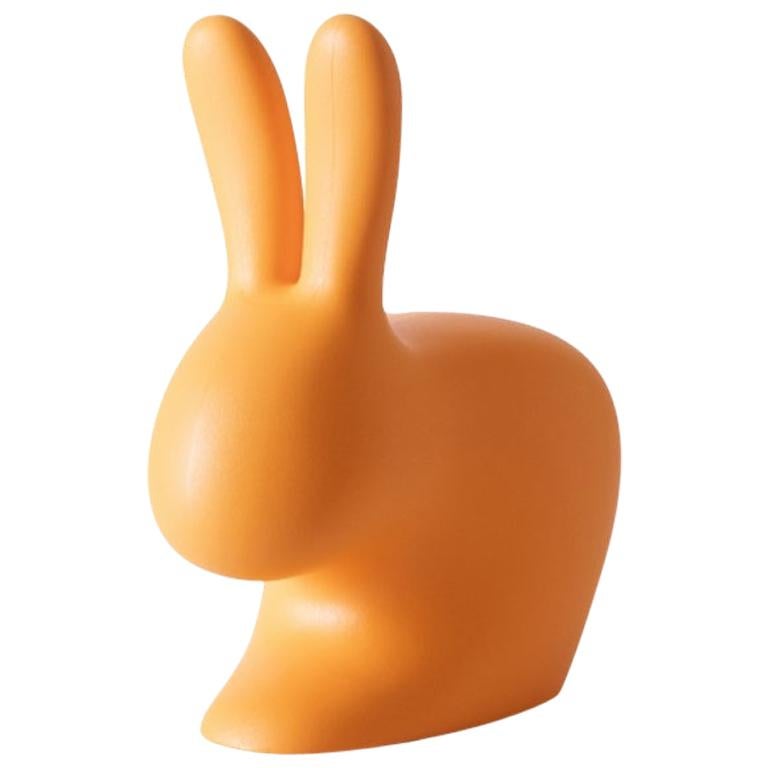 https://a.1stdibscdn.com/orange-baby-rabbit-chair-designed-by-stefano-giovannoni-made-in-italy-for-sale/1121189/f_198167421594469432779/19816742_master.jpg