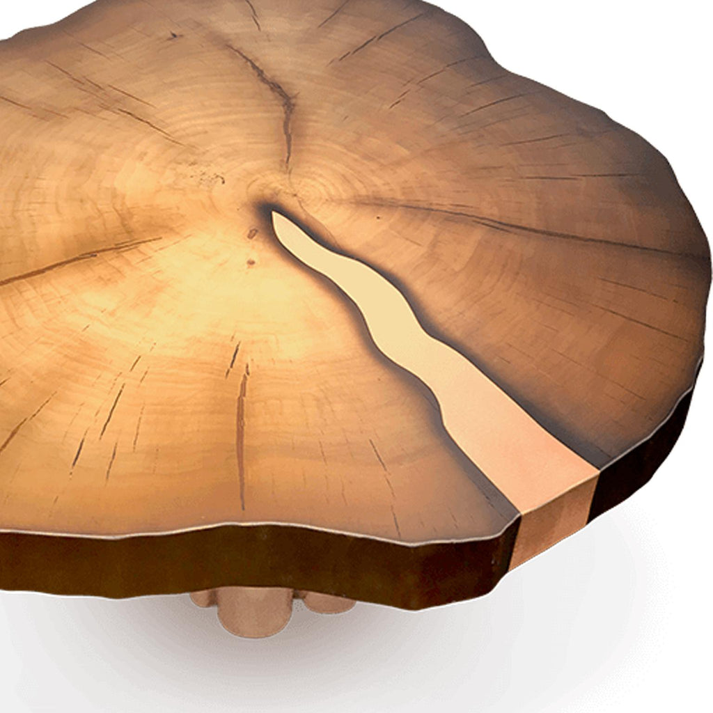 https://a.1stdibscdn.com/contemporary-round-live-edge-wood-side-coffee-table-with-copper-brass-bronze-for-sale-picture-5/f_55202/f_236512221660813336890/1stDibs_3_master.jpg