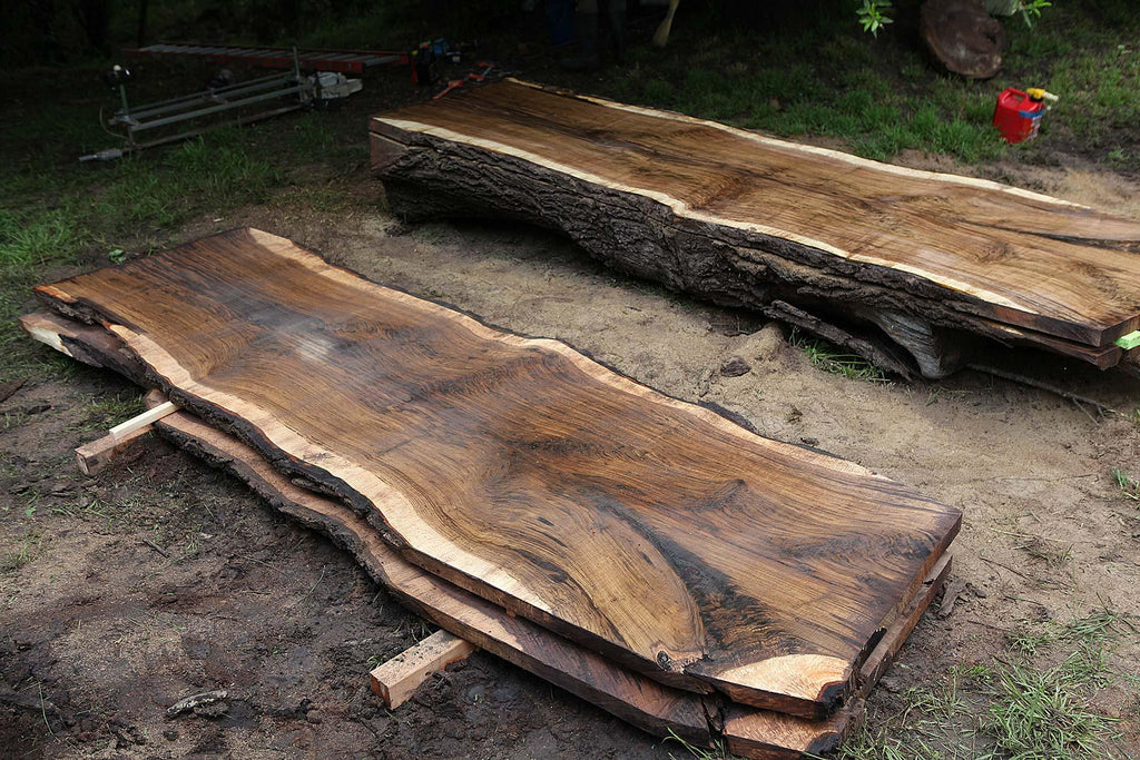 https://a.1stdibscdn.com/domus-modern-slab-table-in-claro-walnut-by-artist-designer-florian-roeper-for-sale-picture-5/f_15542/f_469192621759518913291/201612_RoeperMilling_0179_master.jpg