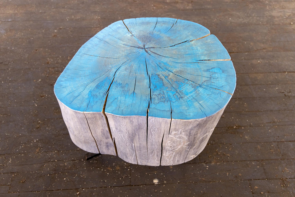https://a.1stdibscdn.com/live-edge-round-side-table-modern-organic-blue-sputnik-table-for-sale-picture-13/f_43982/f_206357221659545231037/2021_22_R5_0196_3000px_master.jpg