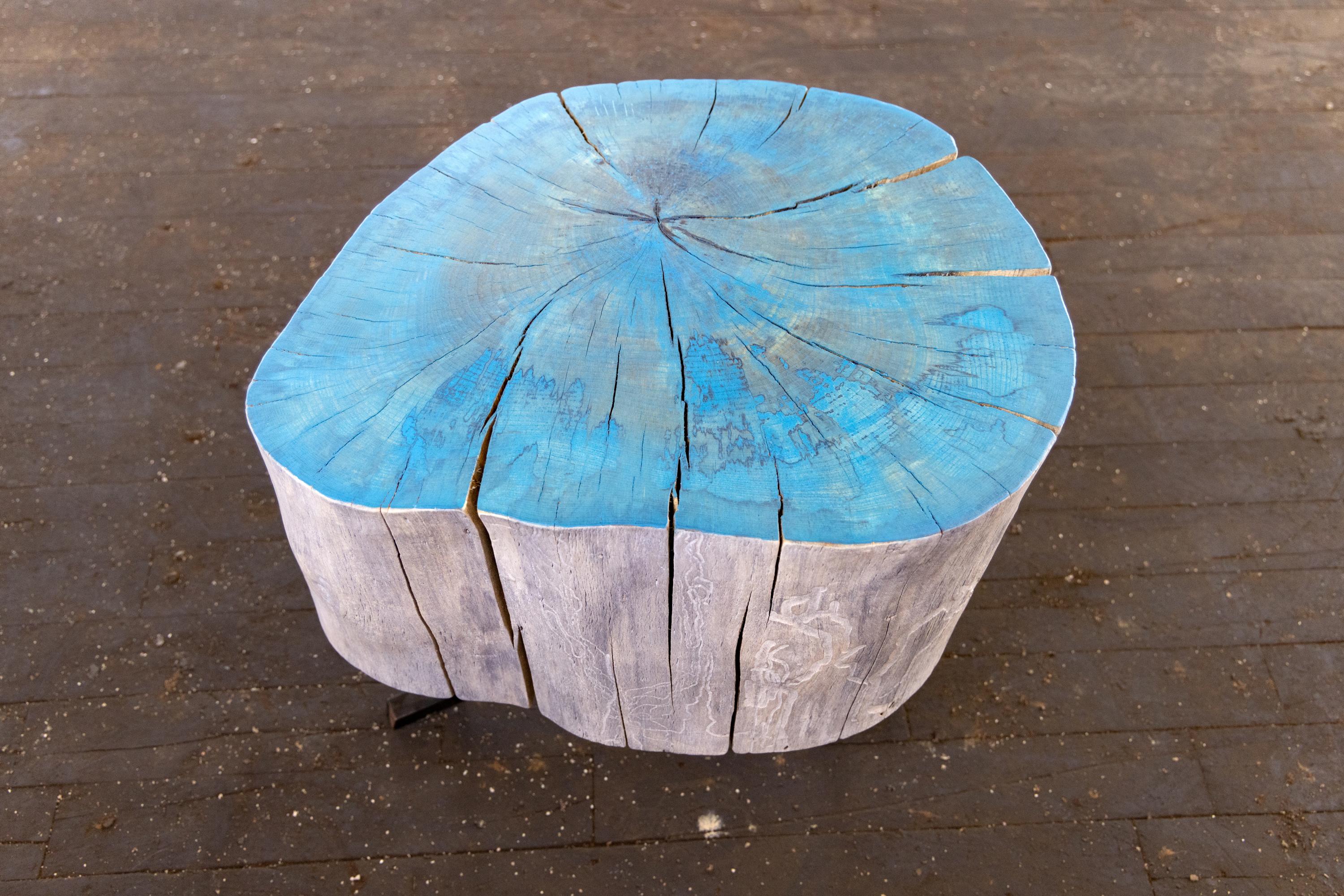 https://a.1stdibscdn.com/live-edge-round-side-table-modern-organic-blue-sputnik-table-for-sale-picture-13/f_43982/f_206357221659545231037/2021_22_R5_0196_3000px_master.jpg