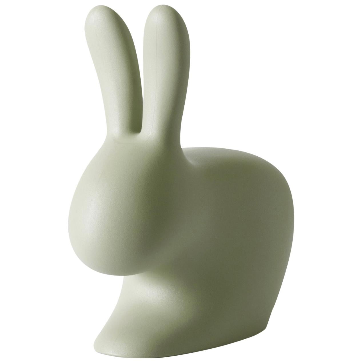 https://a.1stdibscdn.com/balsam-green-baby-rabbit-chair-by-stefano-giovannoni-for-sale/f_49571/f_252373721631141250831/20898962_master.jpg