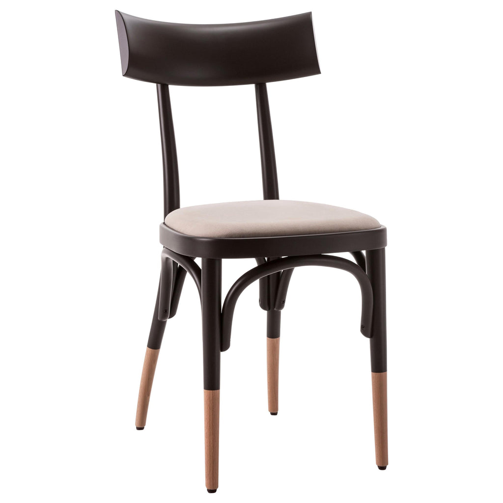 https://a.1stdibscdn.com/gebruder-thonet-vienna-gmbh-czech-black-chair-with-upholstered-seat-beech-feet-for-sale/1121189/f_224809521613121619361/22480952_master.jpg