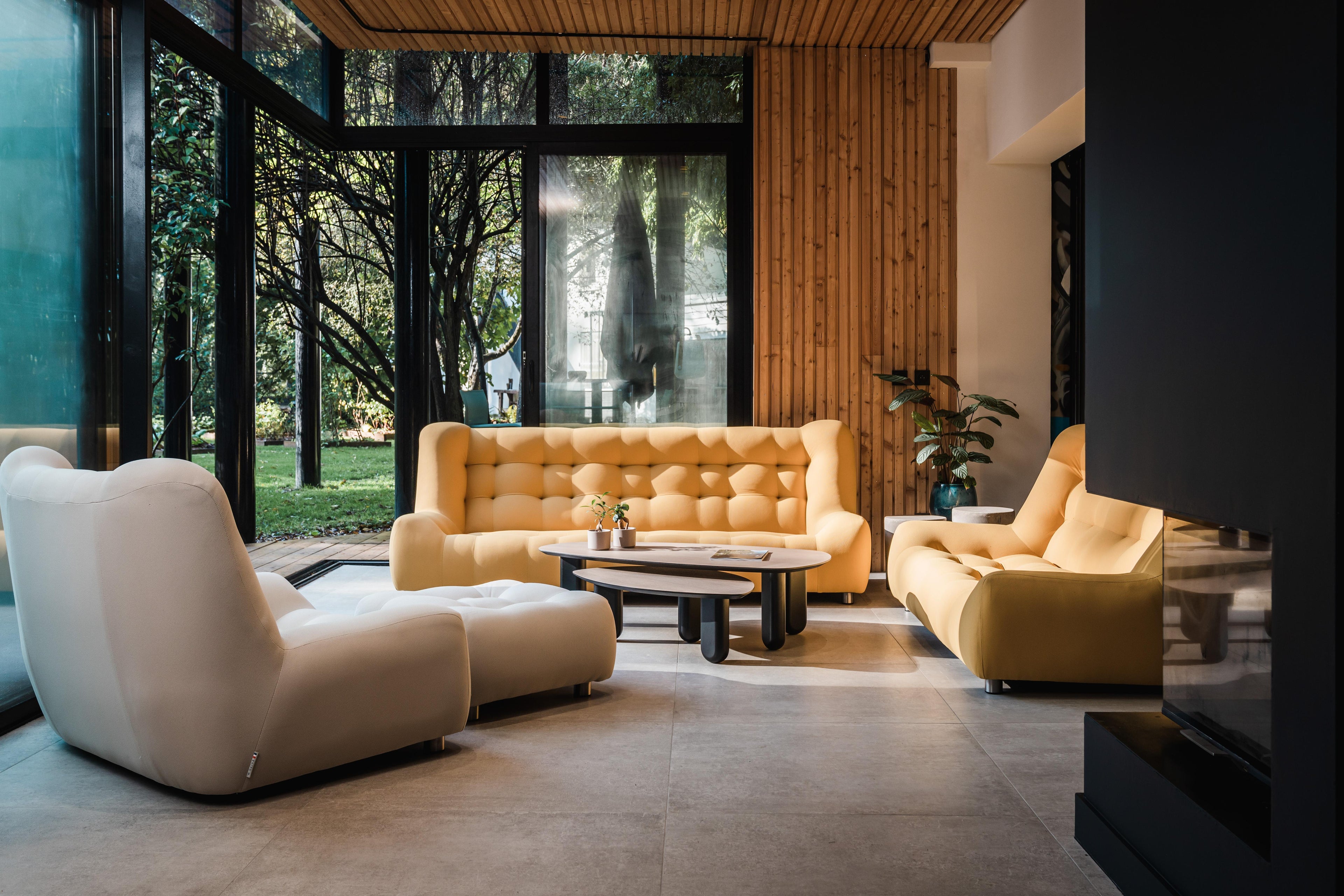 https://a.1stdibscdn.com/cloud-sofa-by-ralph-m-for-sale-picture-12/f_12192/f_409771921723036398619/22_RALPH_M_CLOUD_A7R06173_master.jpg