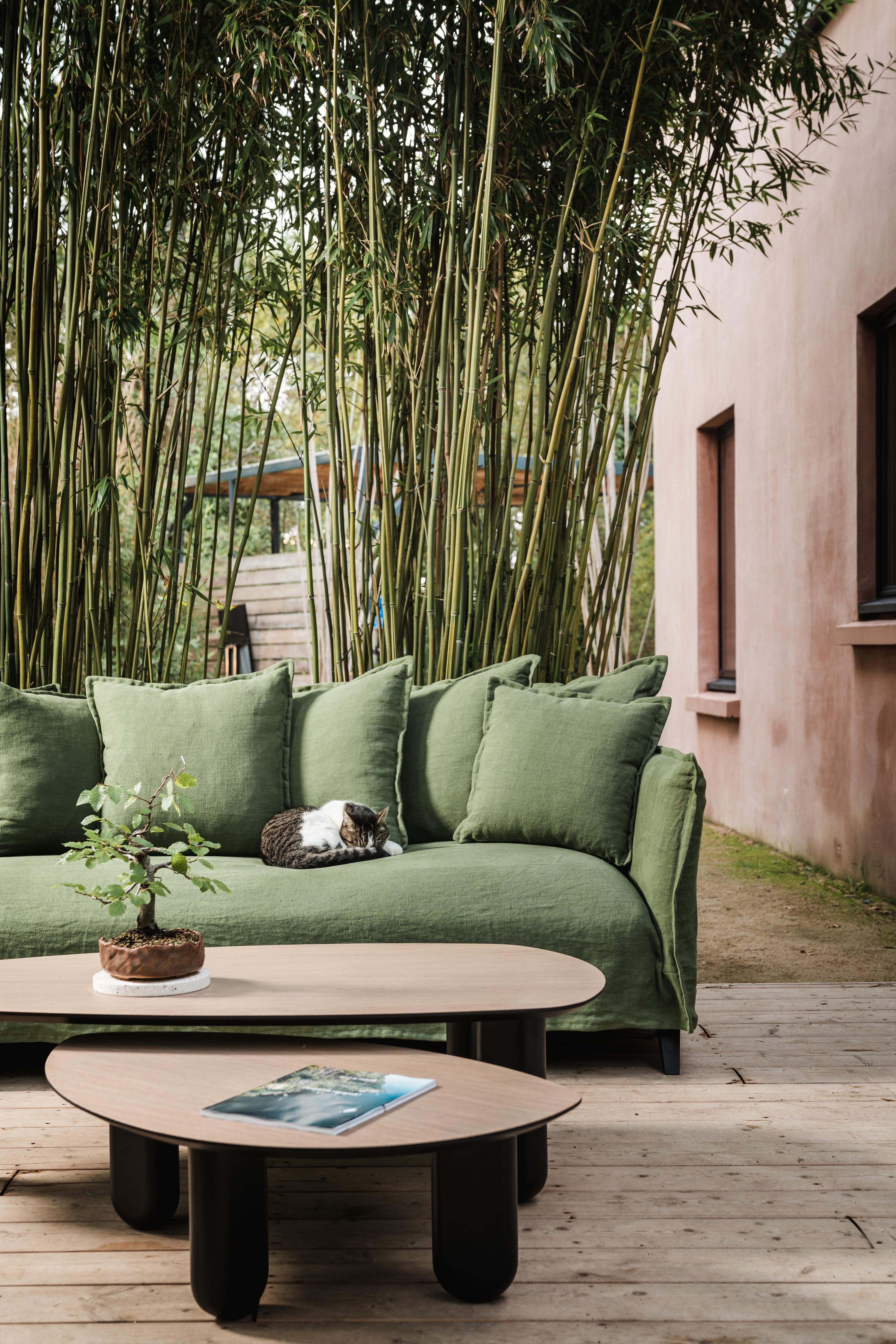 https://a.1stdibscdn.com/scar-sofa-by-ralph-m-for-sale-picture-12/f_12192/f_410417421723478642203/22_RALPH_M_SCAR_A7R06600_master.jpg