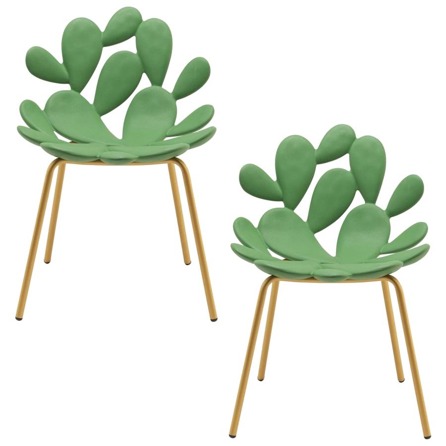 https://a.1stdibscdn.com/set-of-2-green-brass-cactus-chair-by-marcantonio-made-in-italy-for-sale/f_49571/f_254512821632505349730/23770712_master.jpg