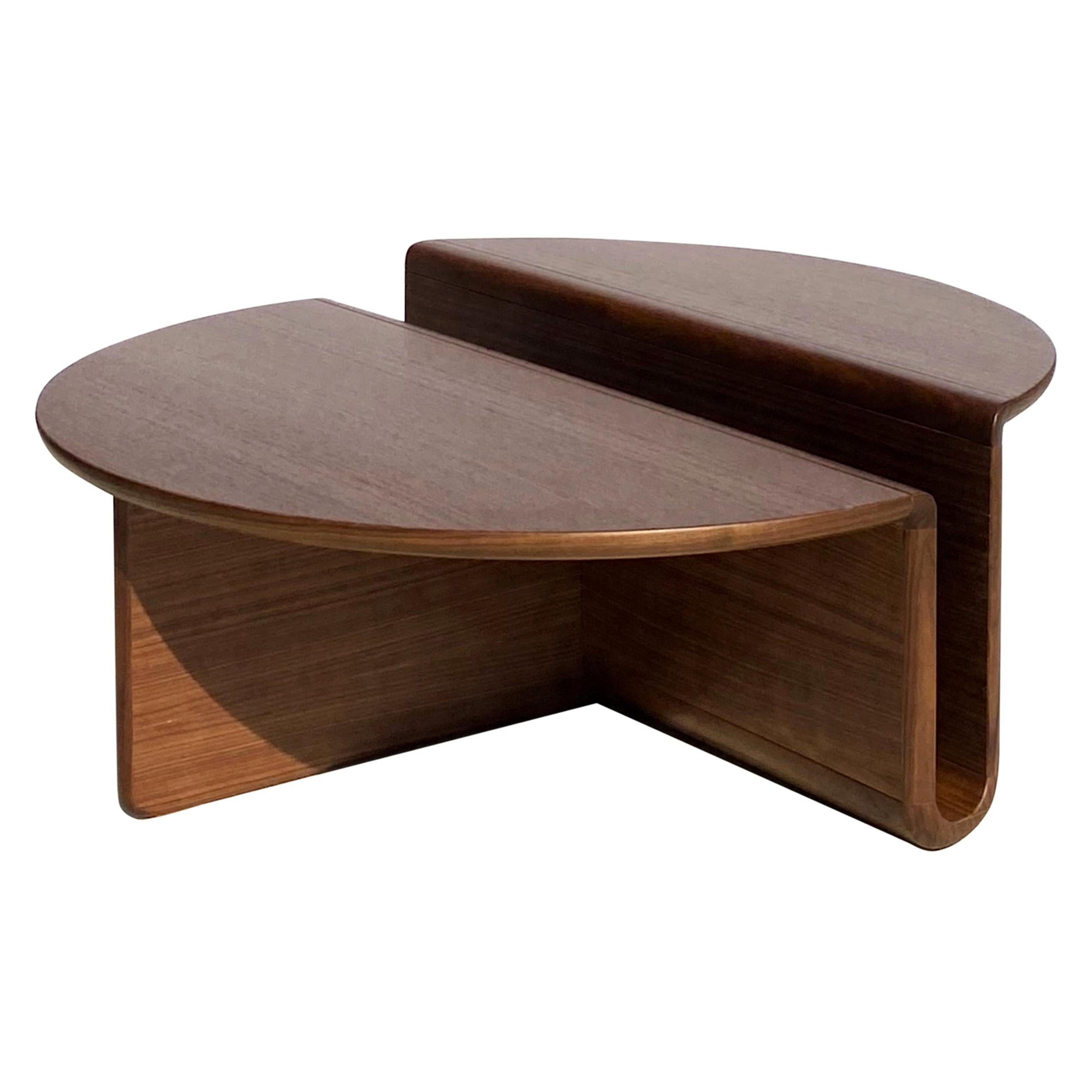 https://a.1stdibscdn.com/kanyon-coffee-table-contemporary-sculptural-minimalist-round-wooden-walnut-for-sale/1121189/f_238252021622051524341/23825202_master.jpg