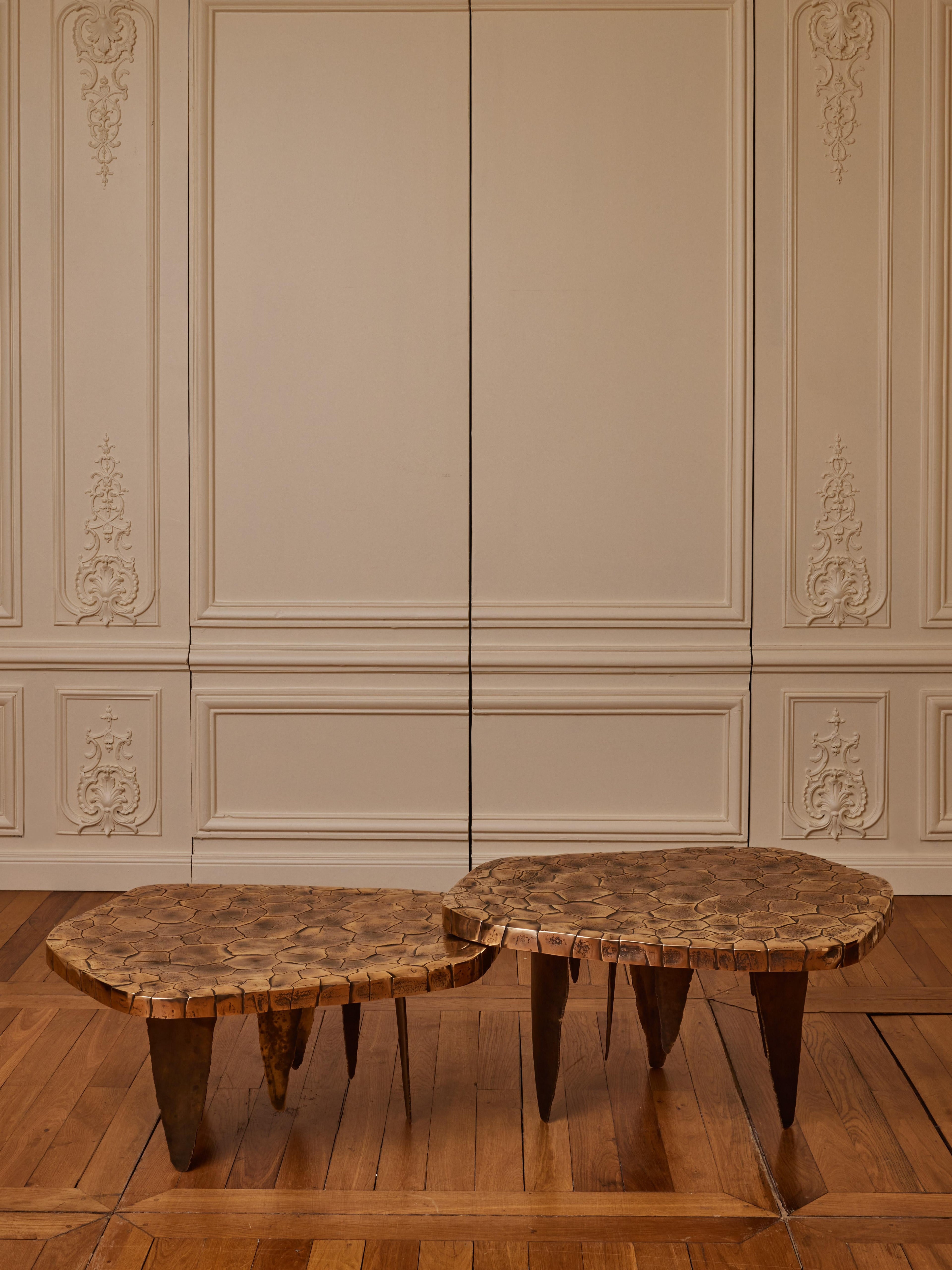 https://a.1stdibscdn.com/crackled-earth-coffee-table-by-erwan-boulloud-for-sale-picture-2/f_9680/f_382482021707041549407/_243_M251_FPU607_11112_master.jpg