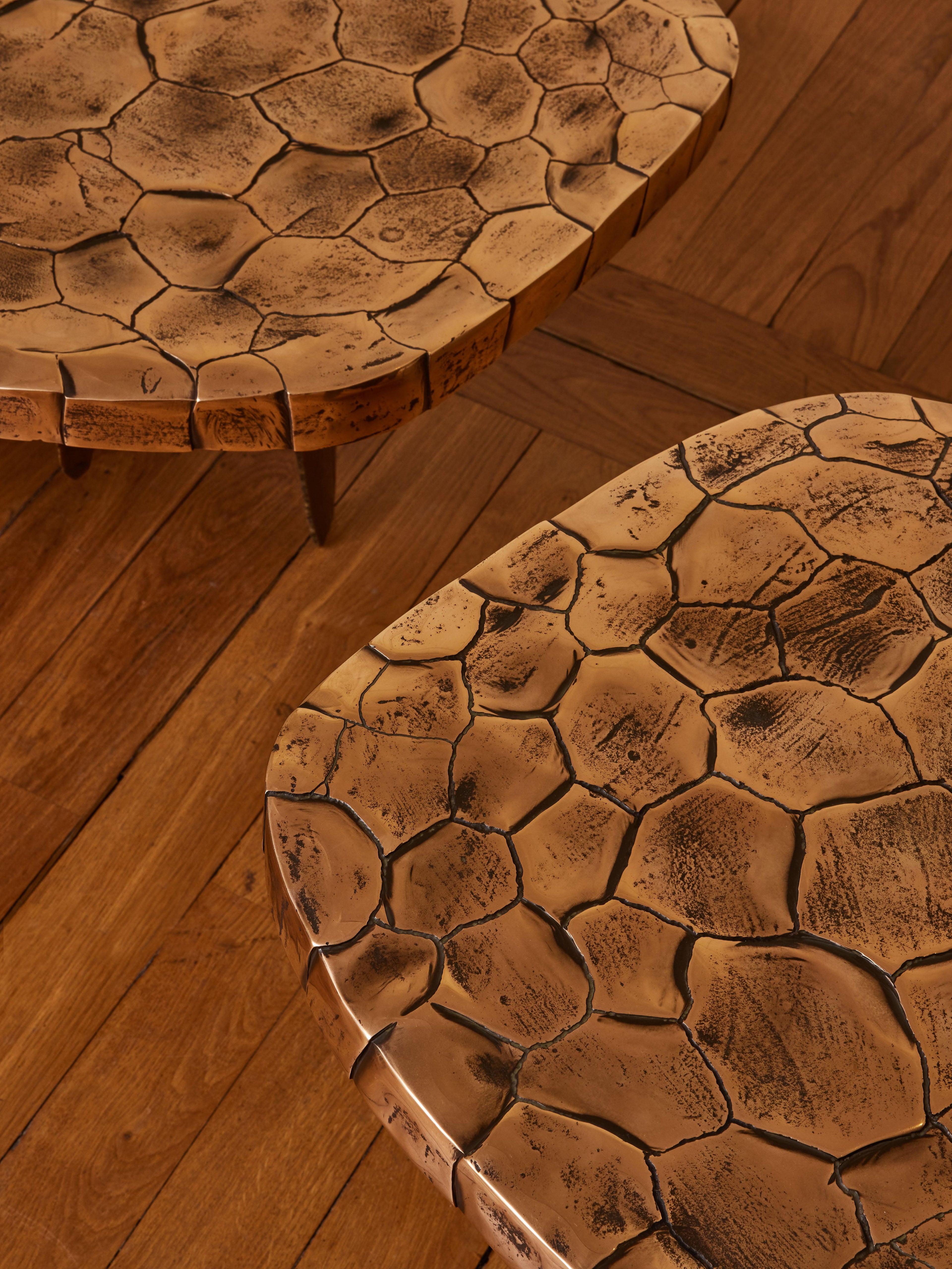 https://a.1stdibscdn.com/crackled-earth-coffee-table-by-erwan-boulloud-for-sale-picture-7/f_9680/f_382482021707041549489/_243_M251_FPU607_11121_master.jpg